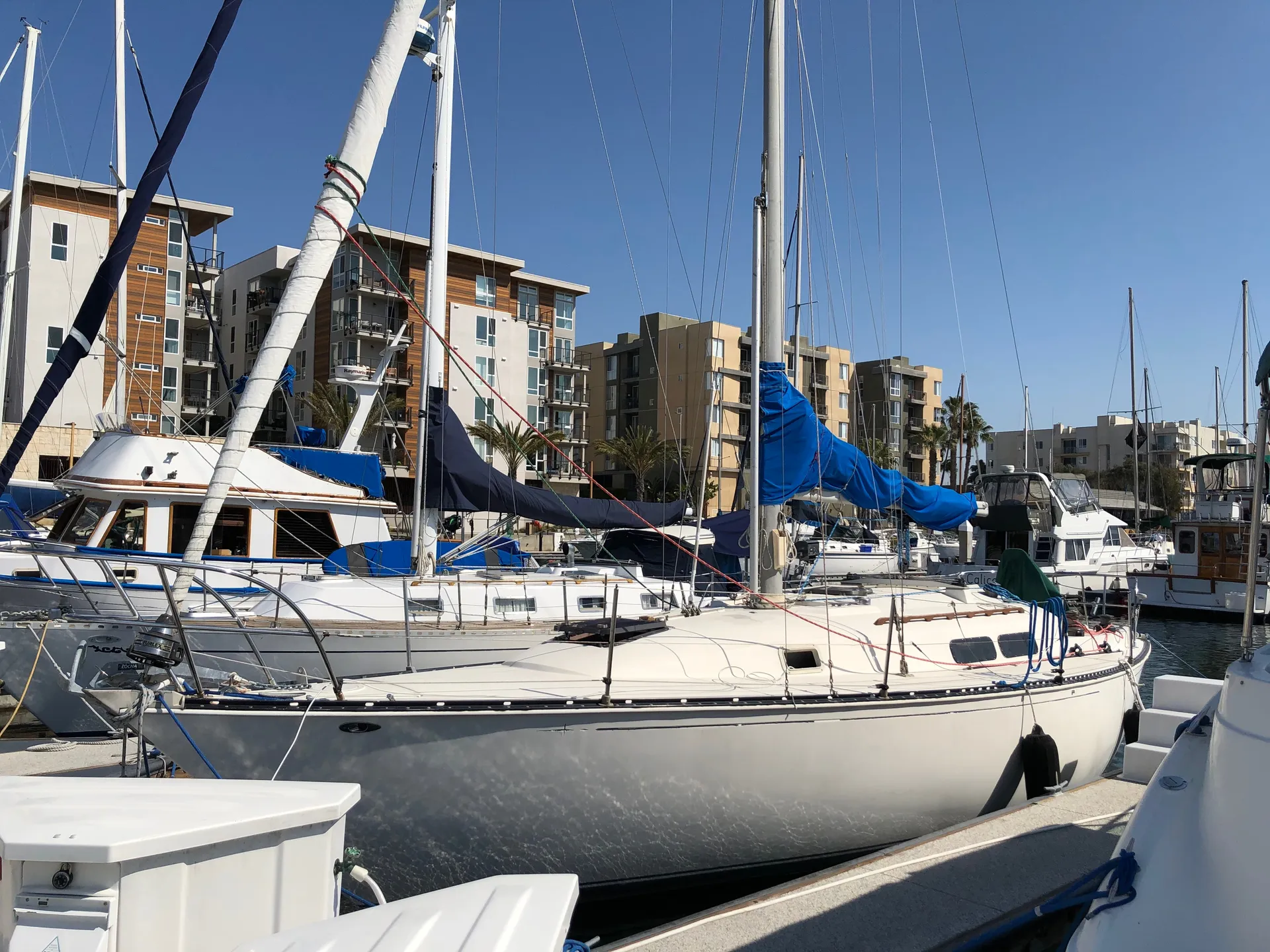Amazing Private Sailing Charter on 36' Sailboat in Marina del Rey