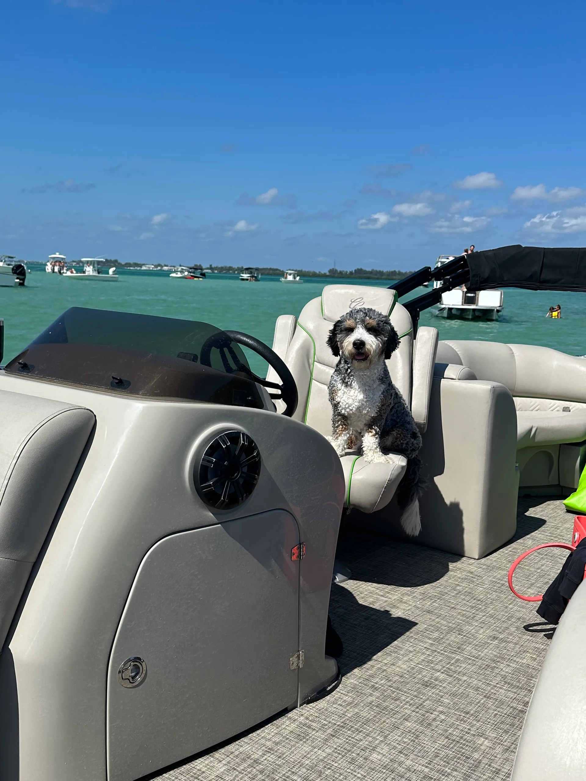 CYPRESS CAY 230 SEABREEZE CS W/115ELPT 4-S in Palmetto, FL — photo 3