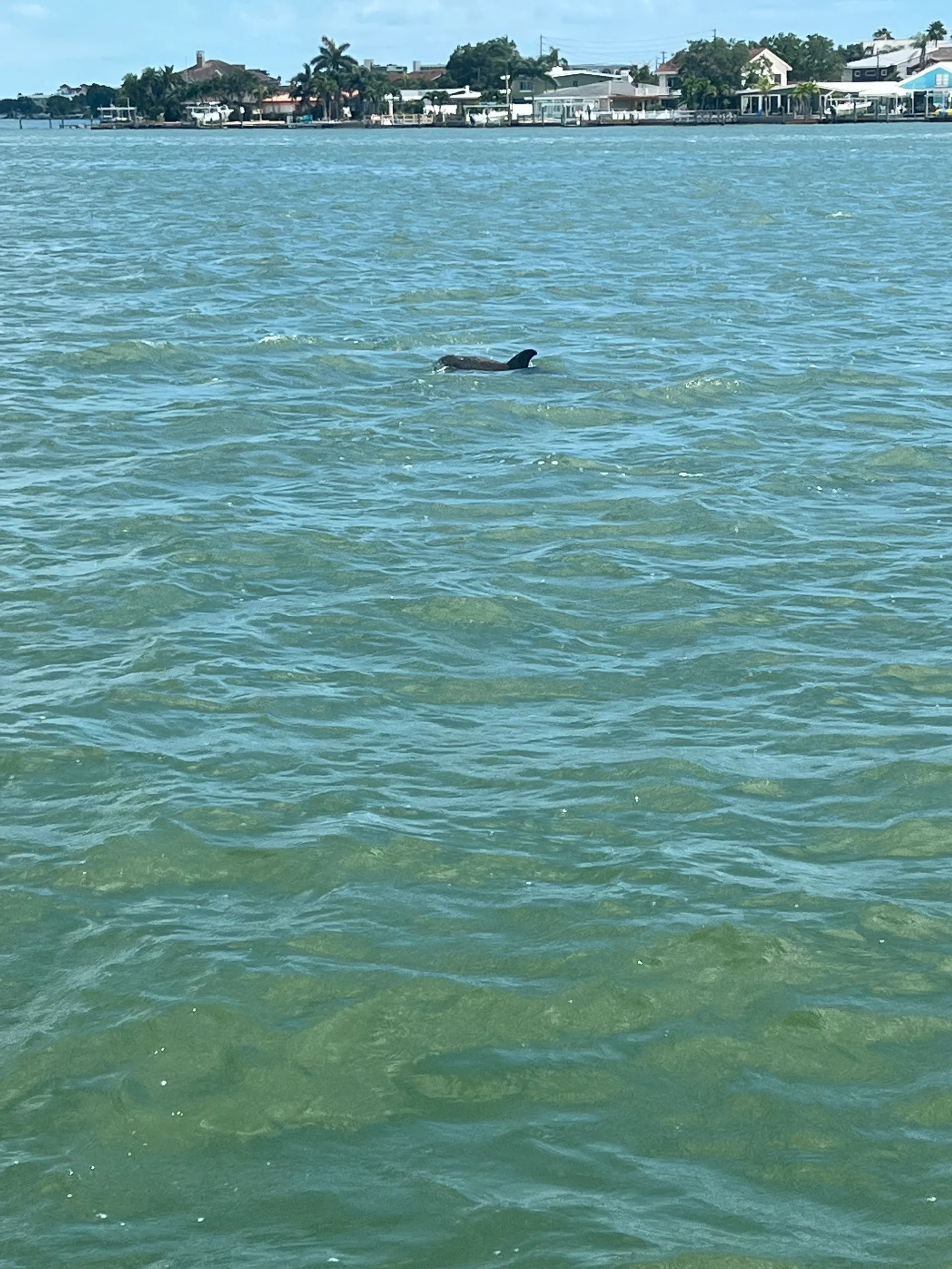 CYPRESS CAY 230 SEABREEZE CS W/115ELPT 4-S in Palmetto, FL — photo 6