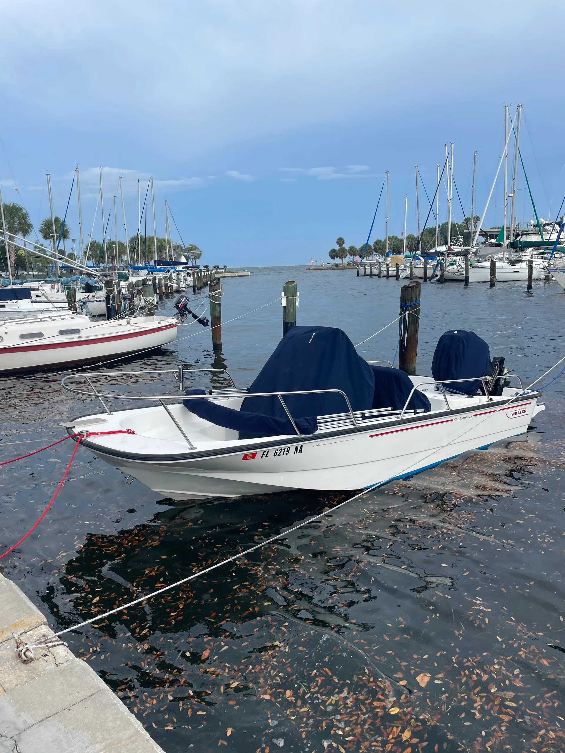 boat