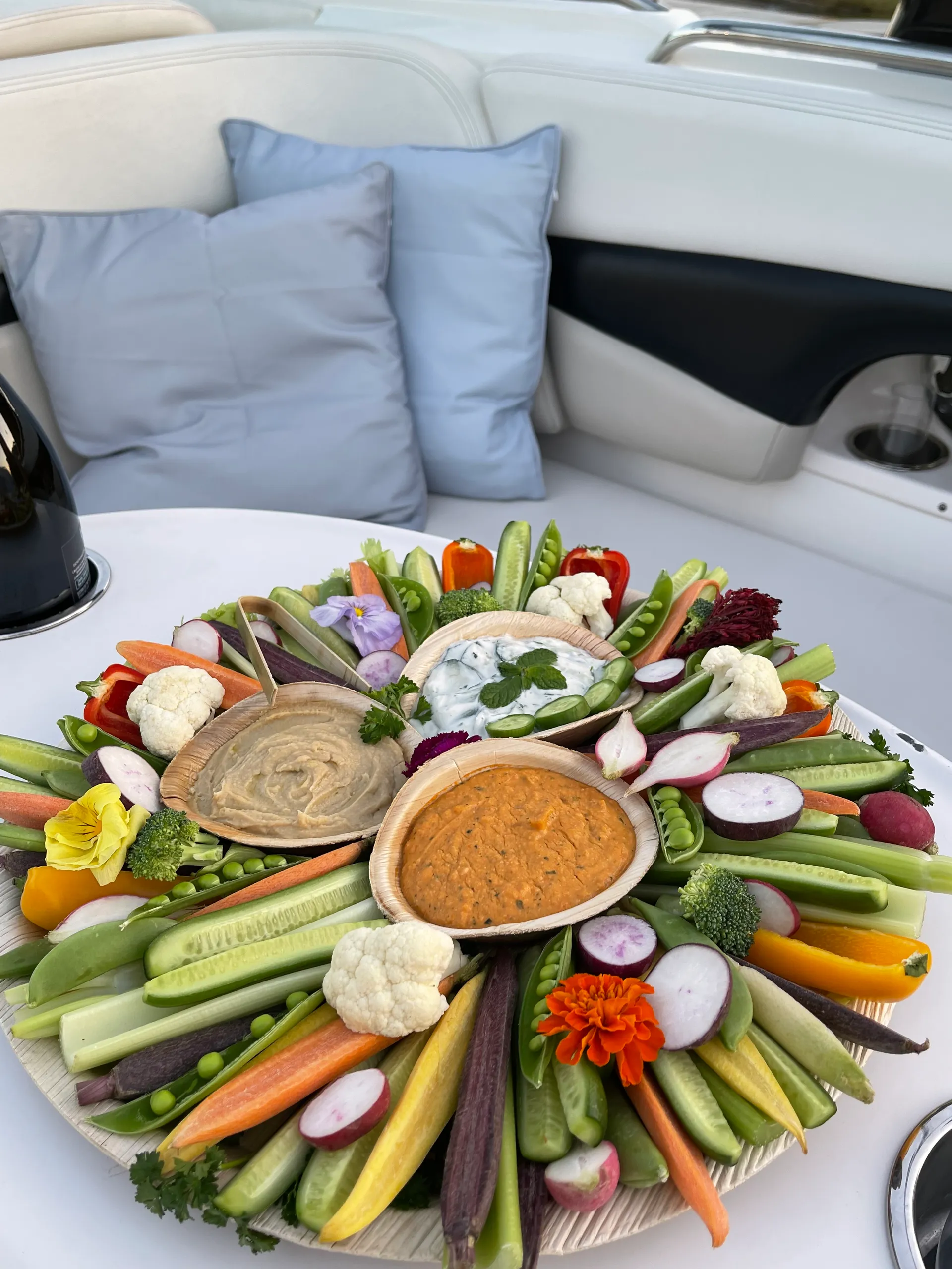 GET 1HR FREE! Eye Catching Chaparrel Ssx Yacht Certified⚓️Long Beach  