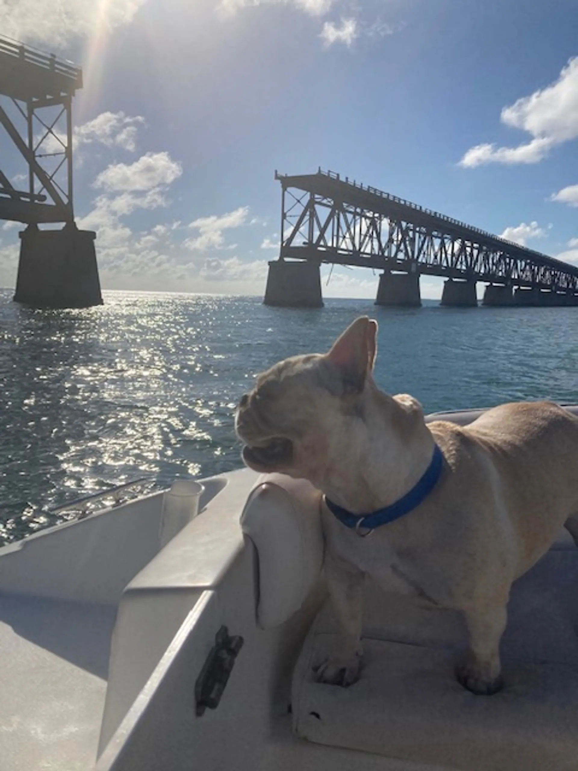 Welcome Aboard ! Custom Day Charter