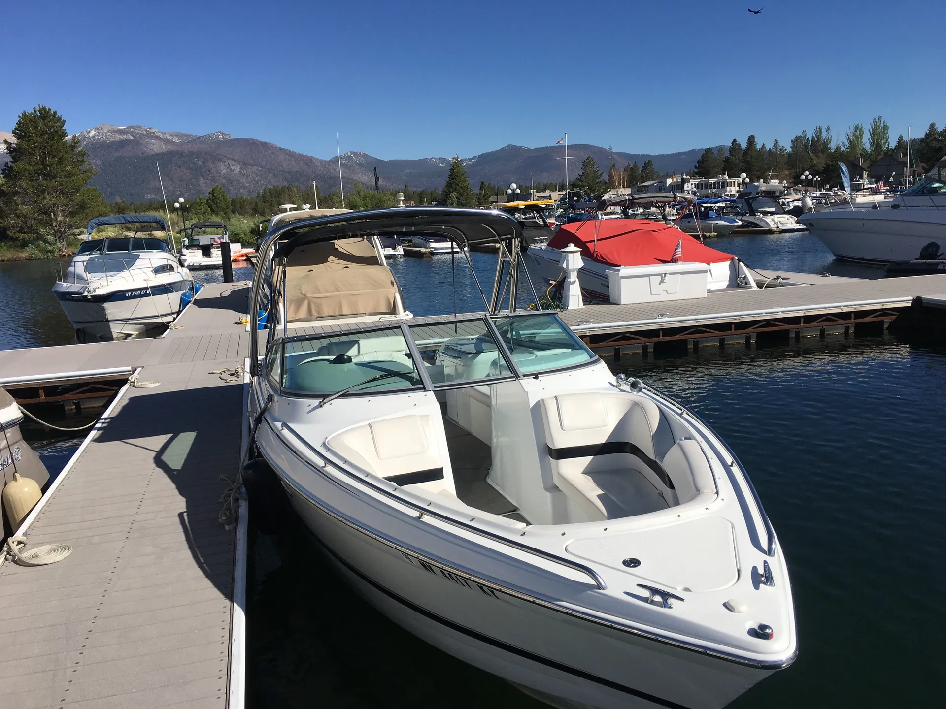FORMULA BY THUNDERBIRD 260 BOWRIDER in South Lake Tahoe, CA — photo 6