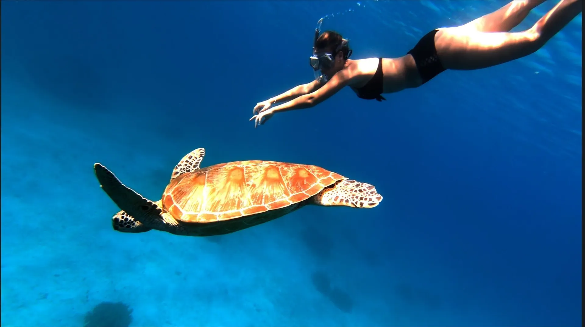 Kantola  Trimaran in Honolulu, HI — photo 5