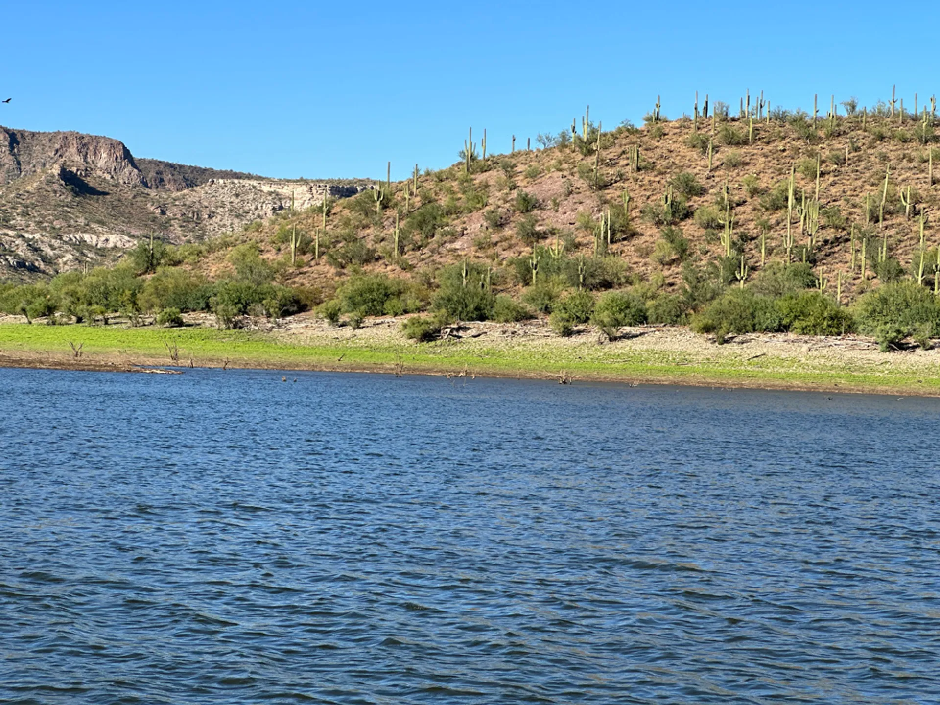 21 Foot Sea Ray 200 Sport