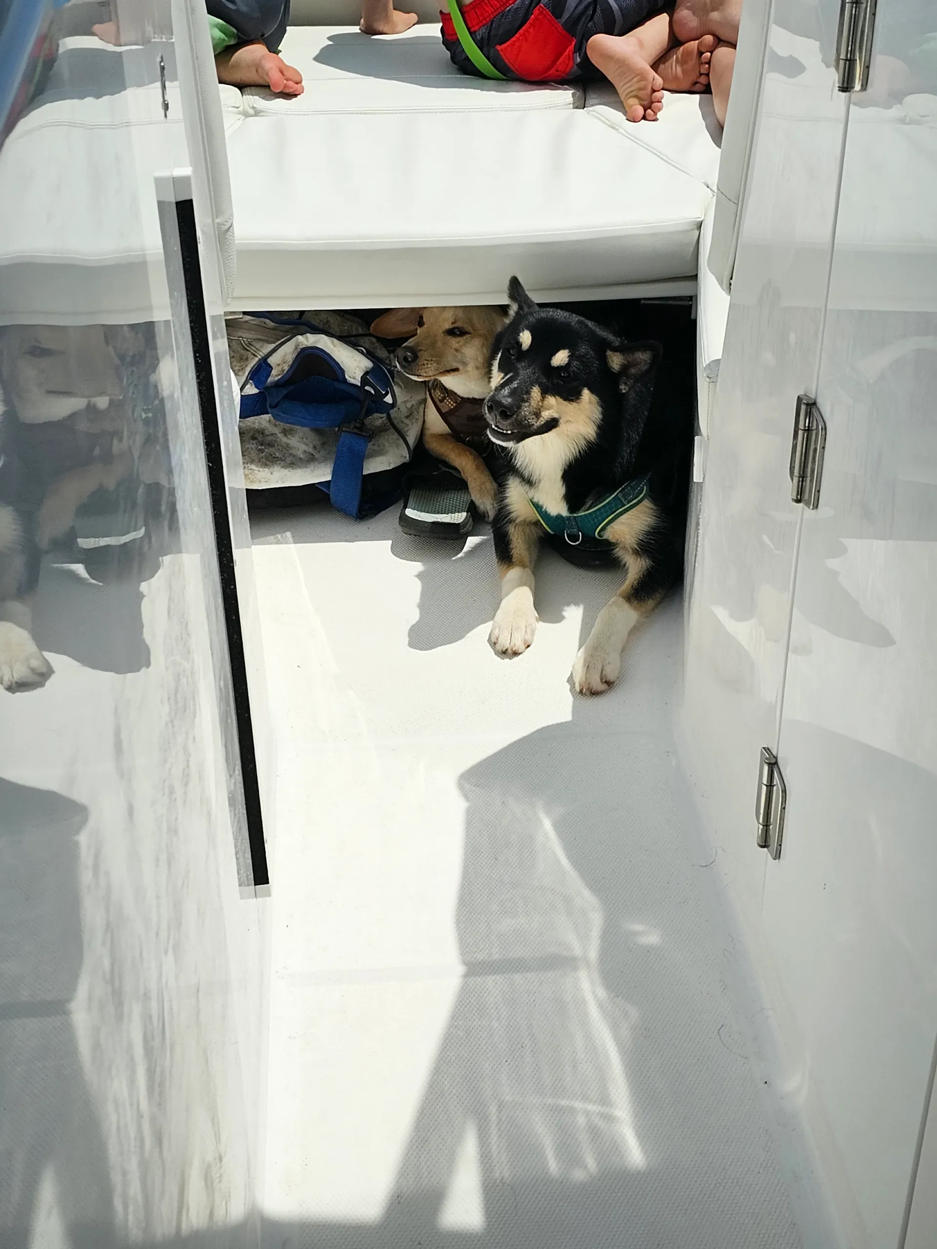 Brooksy – 28' Luxury Dual Console for Fishing, Cruises & Sandbar Adven