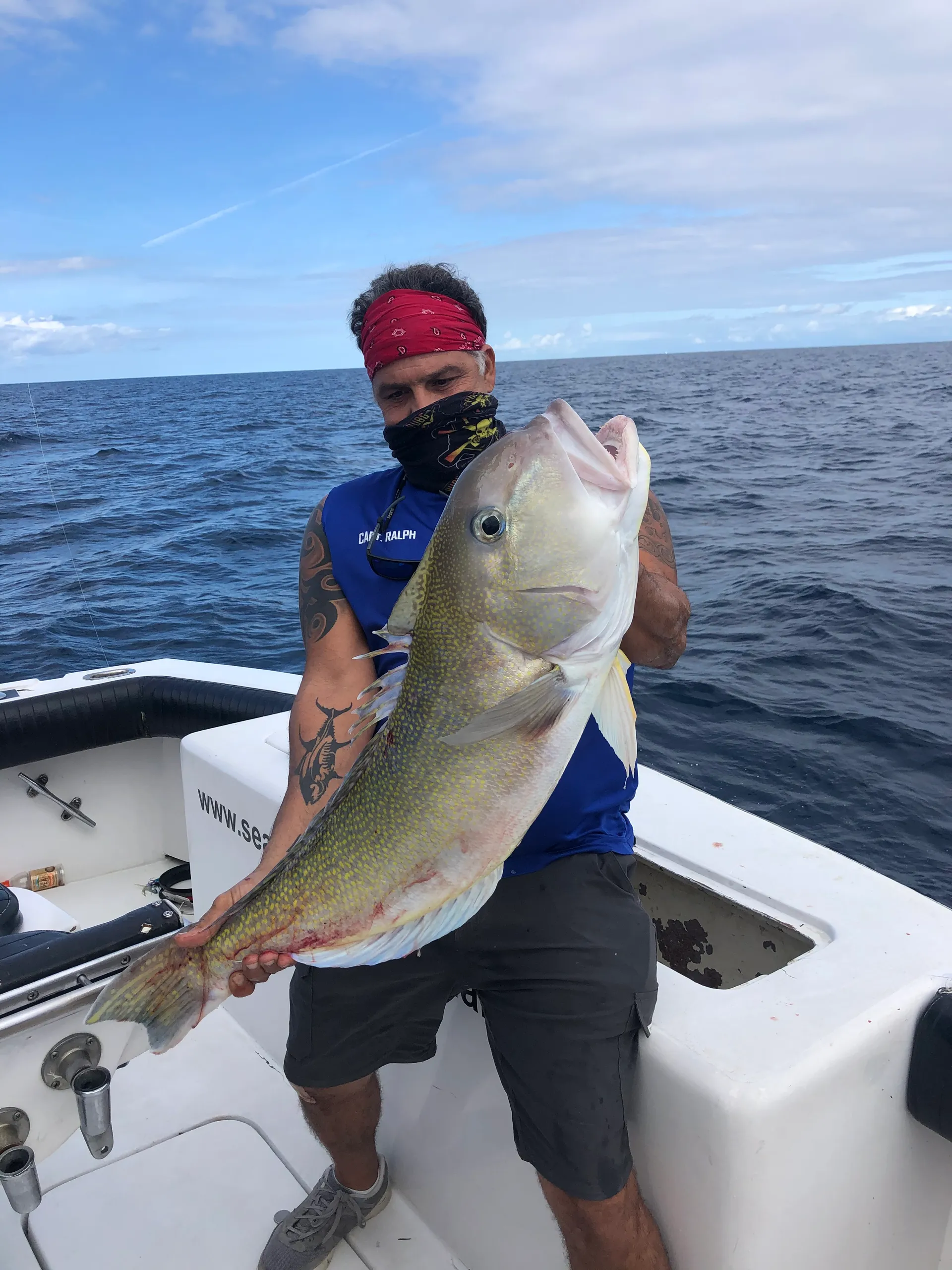 Offshore Deep Sea Fishing Charters!