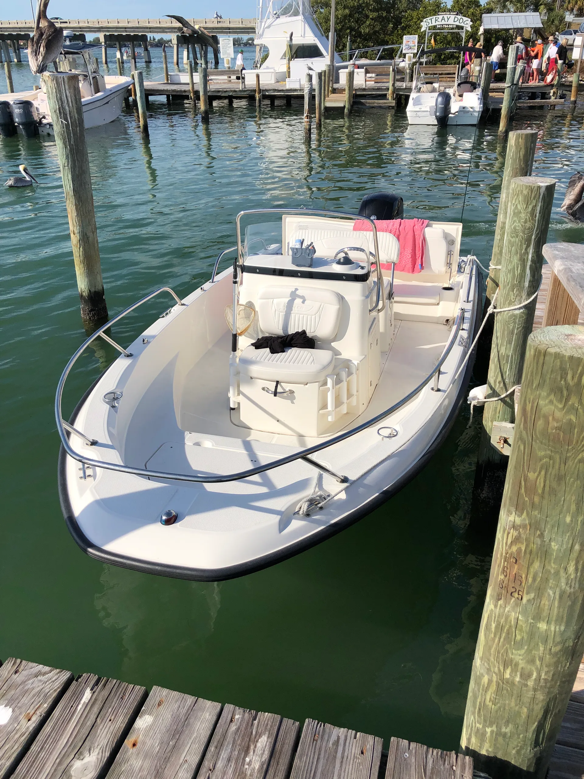 Boston Whaler 180 Dauntless w/150XL 4-S  in Anna Maria, FL — photo 10