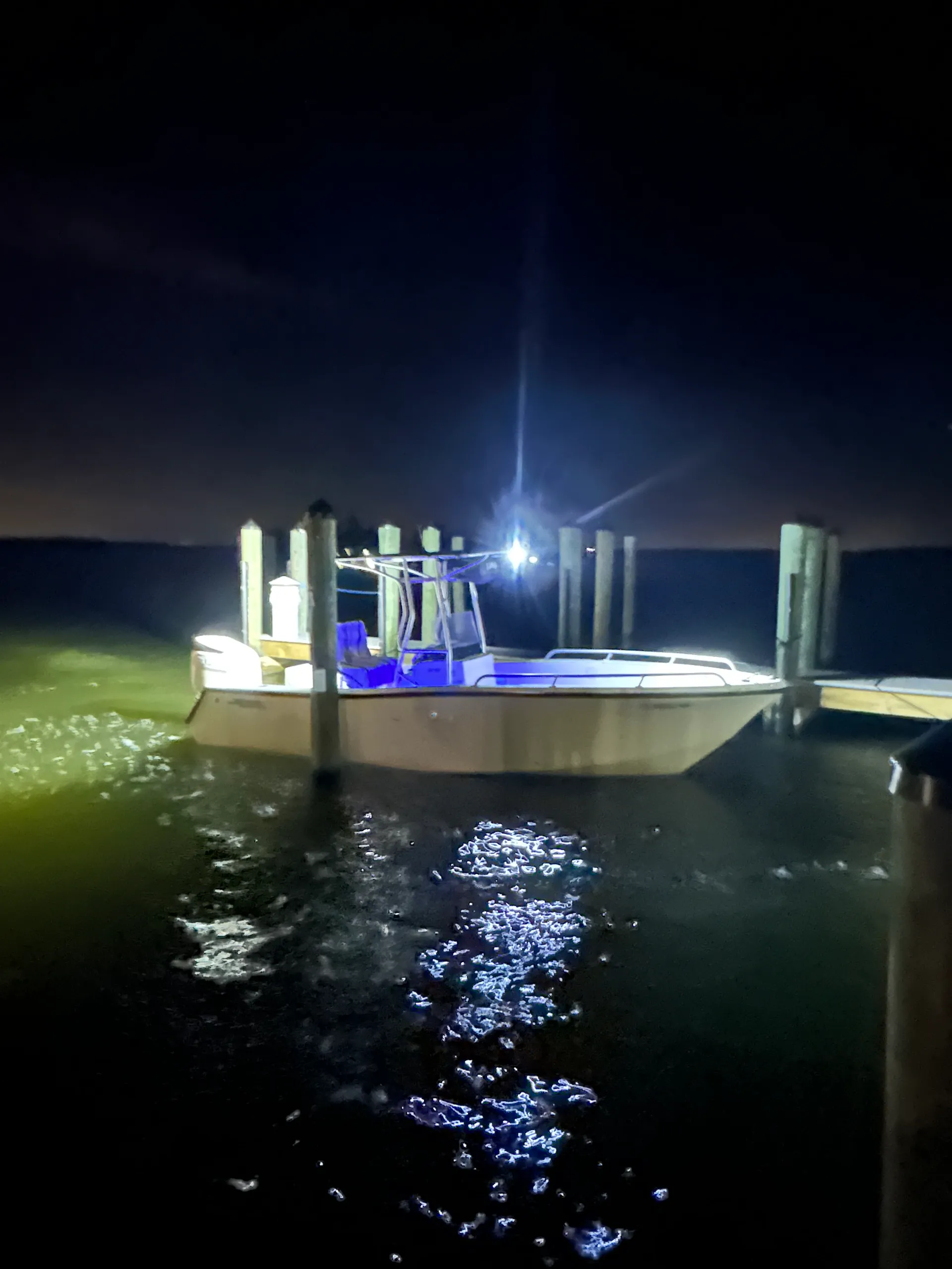 “Fish Happens” in SWFL