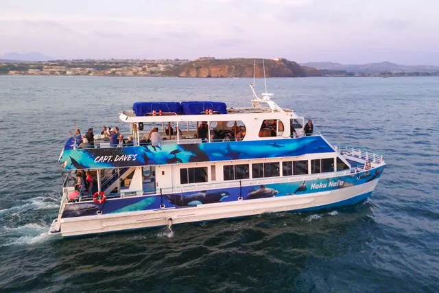 Rent a All American Marine catamaran in Dana Point, CA near me