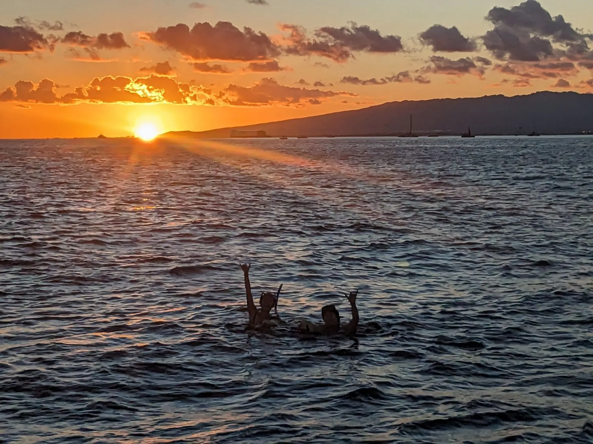 See turtles and Snorkel on a Private Luxury Yacht!