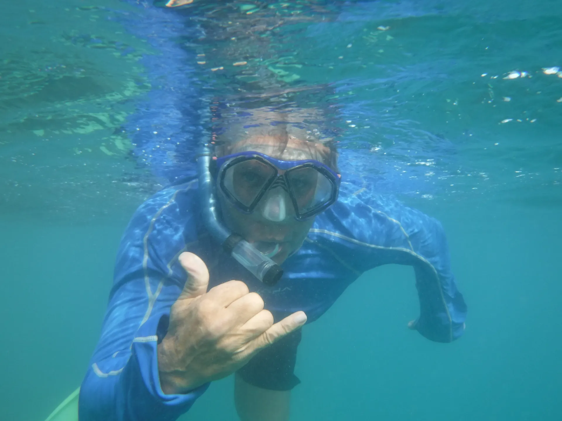 See turtles and Snorkel on a Private Luxury Yacht!