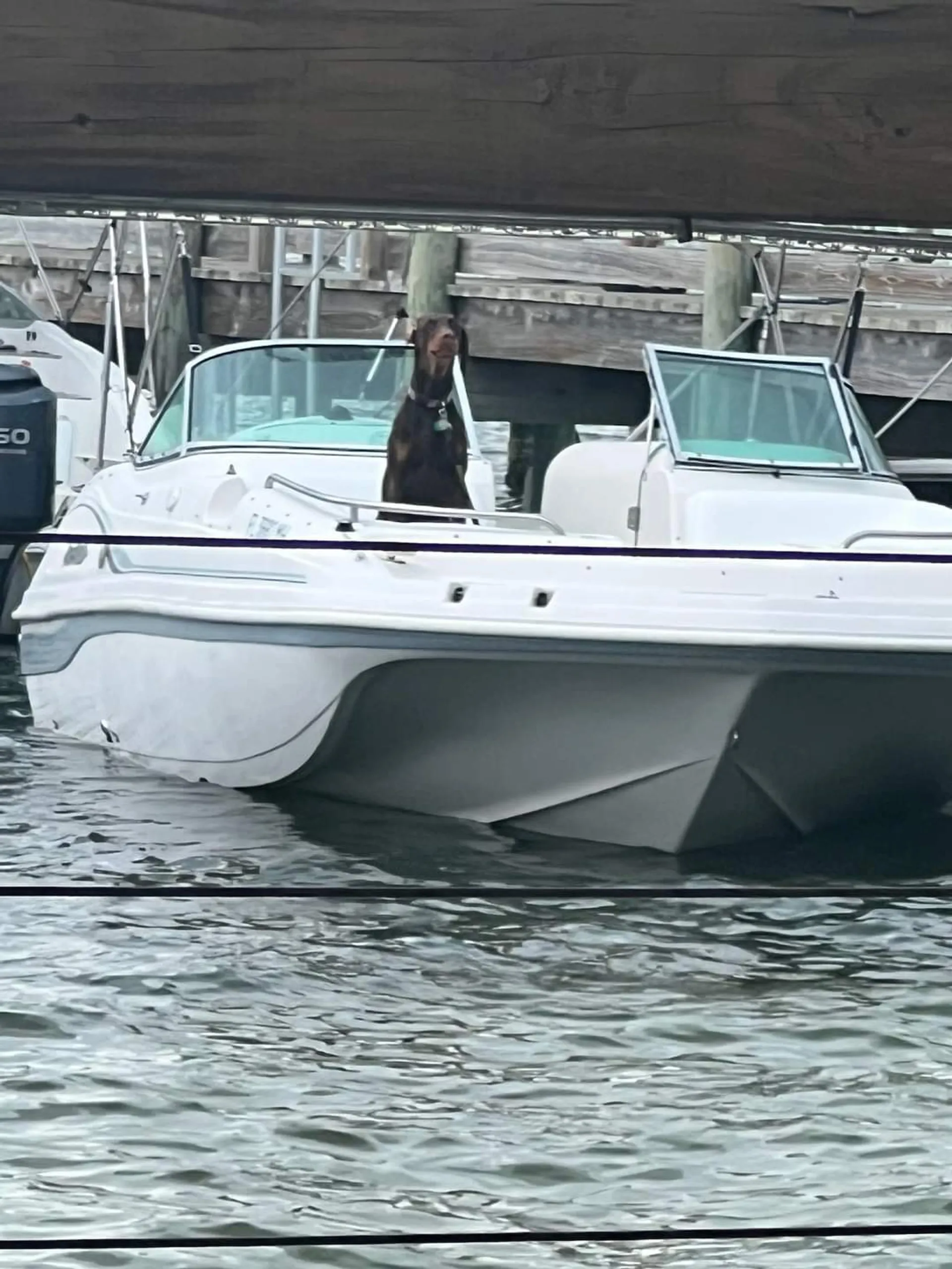 Hurricane Boats SD 2200 w/F150TXR in Merritt Island, FL — photo 8