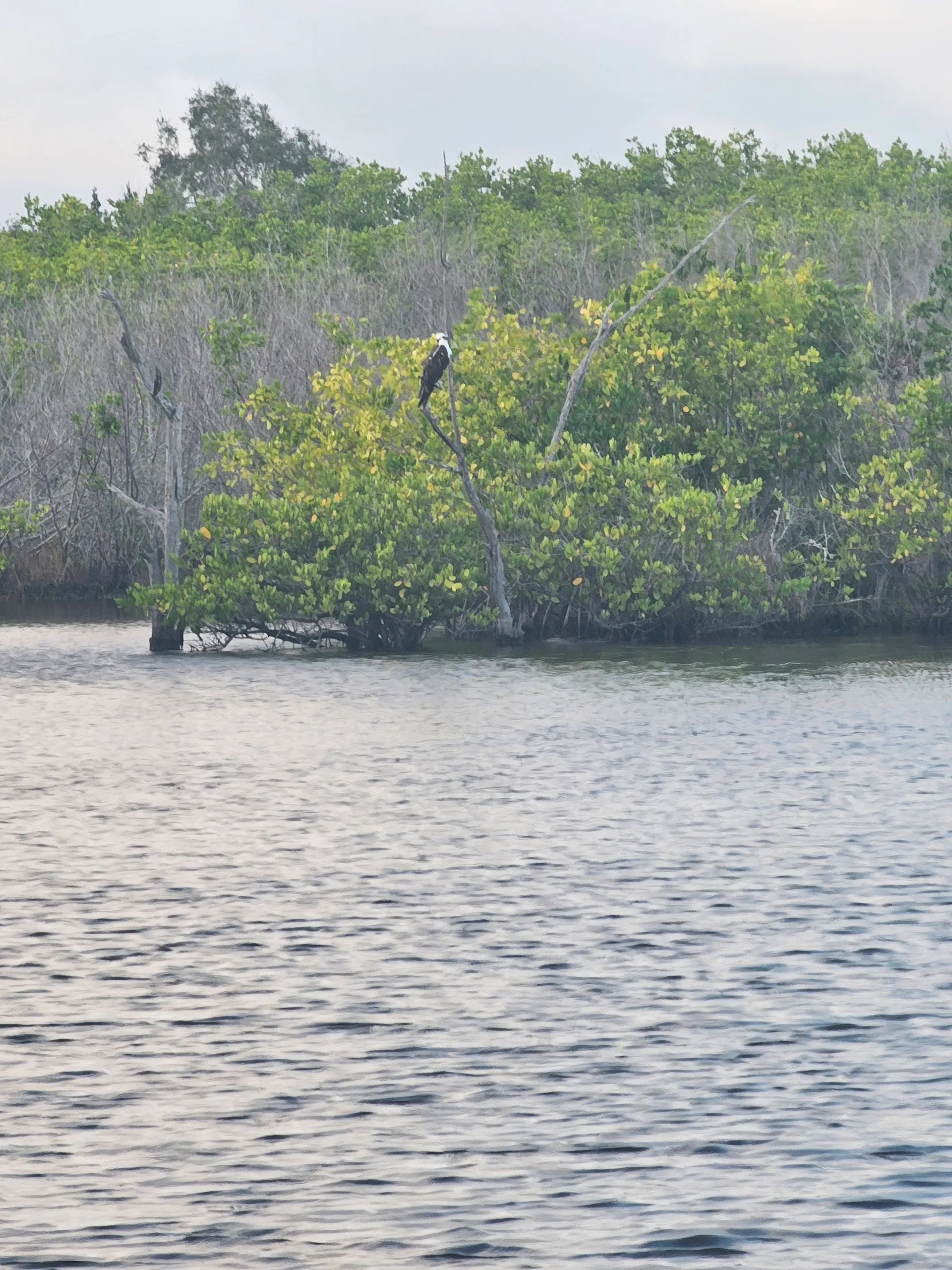 Hurricane Boats SD 2200 w/F150TXR in Merritt Island, FL — photo 9