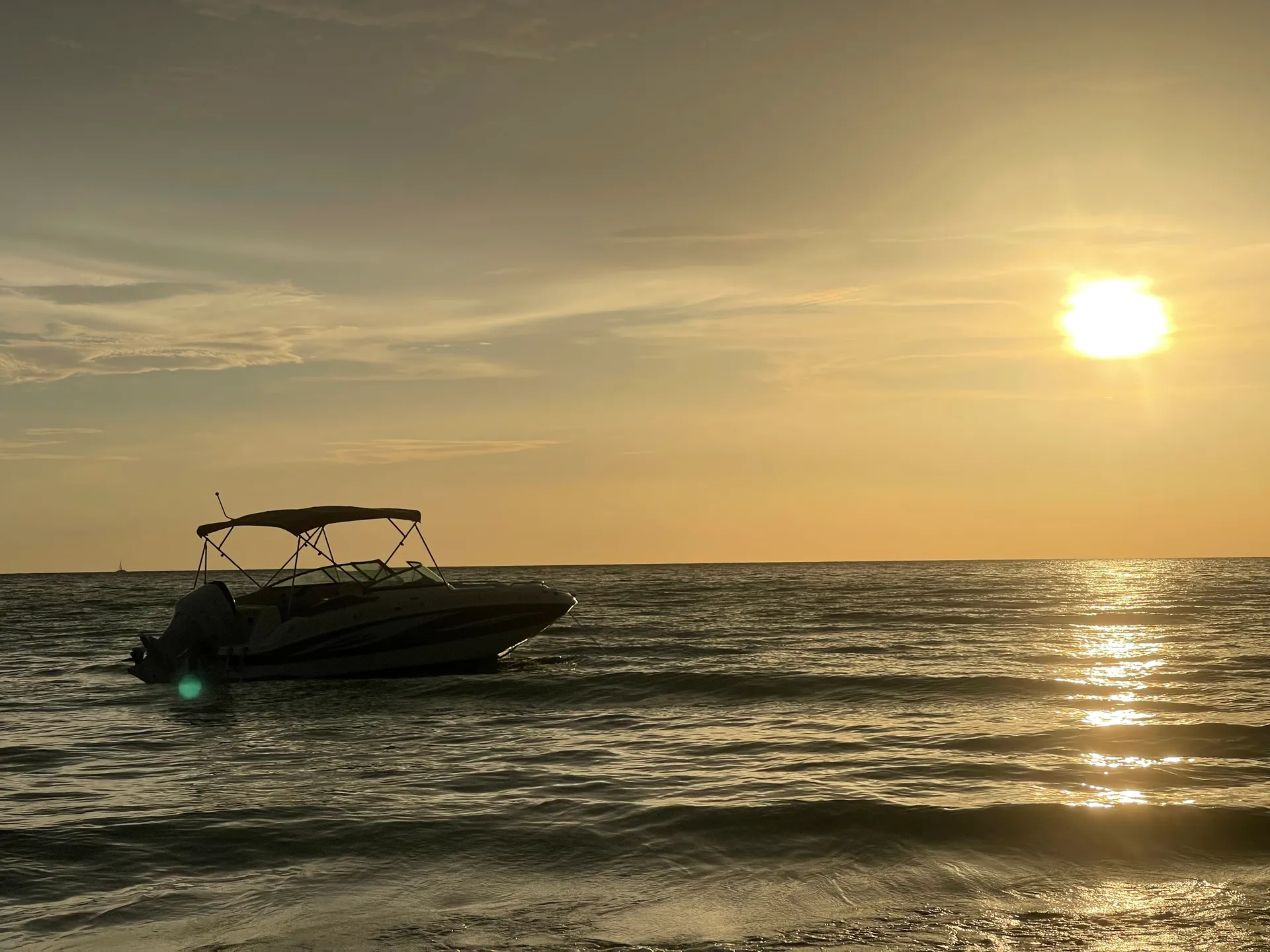 SURREEL LIFE “living the dream” 