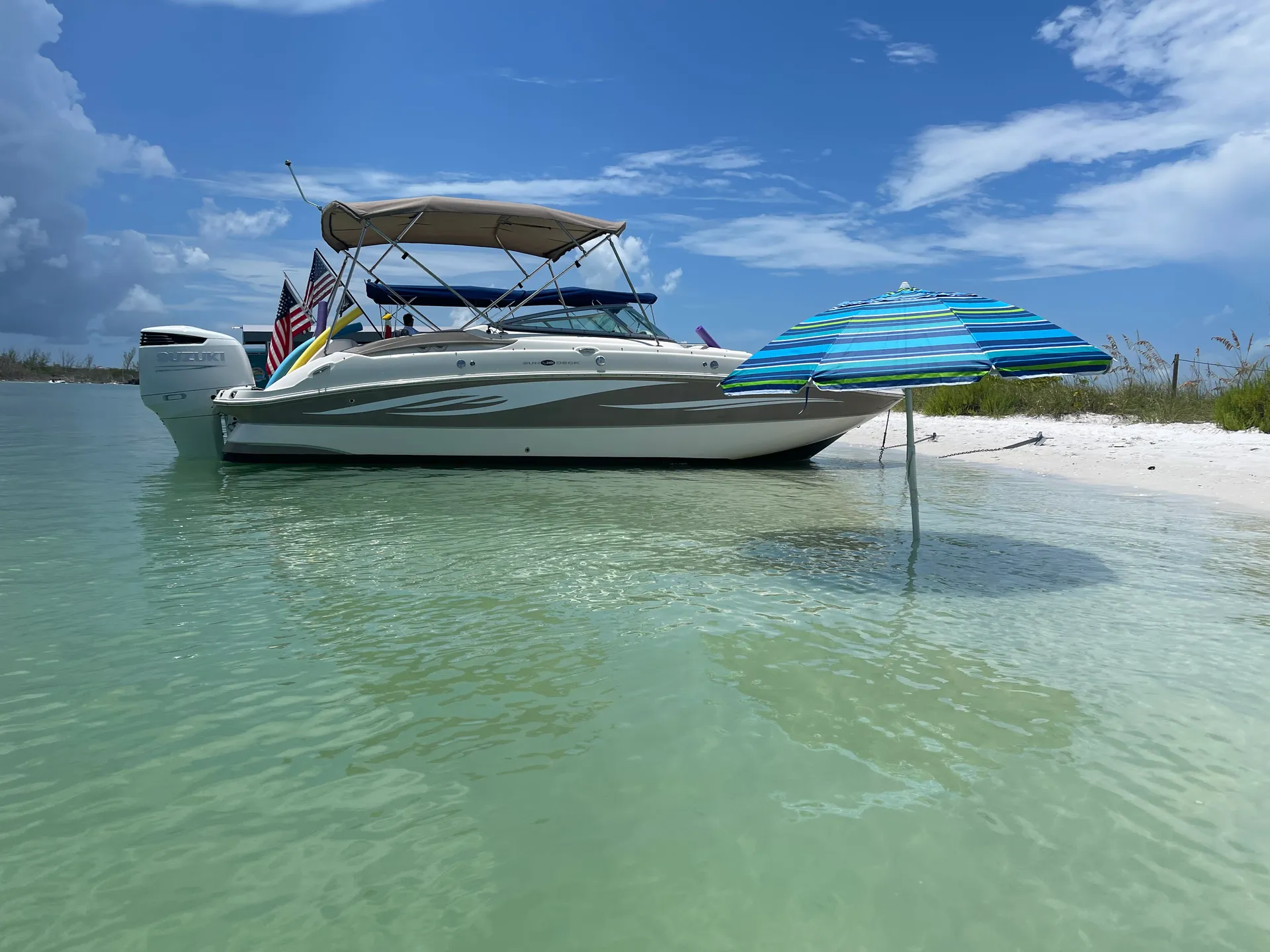 SURREEL LIFE “living the dream” 