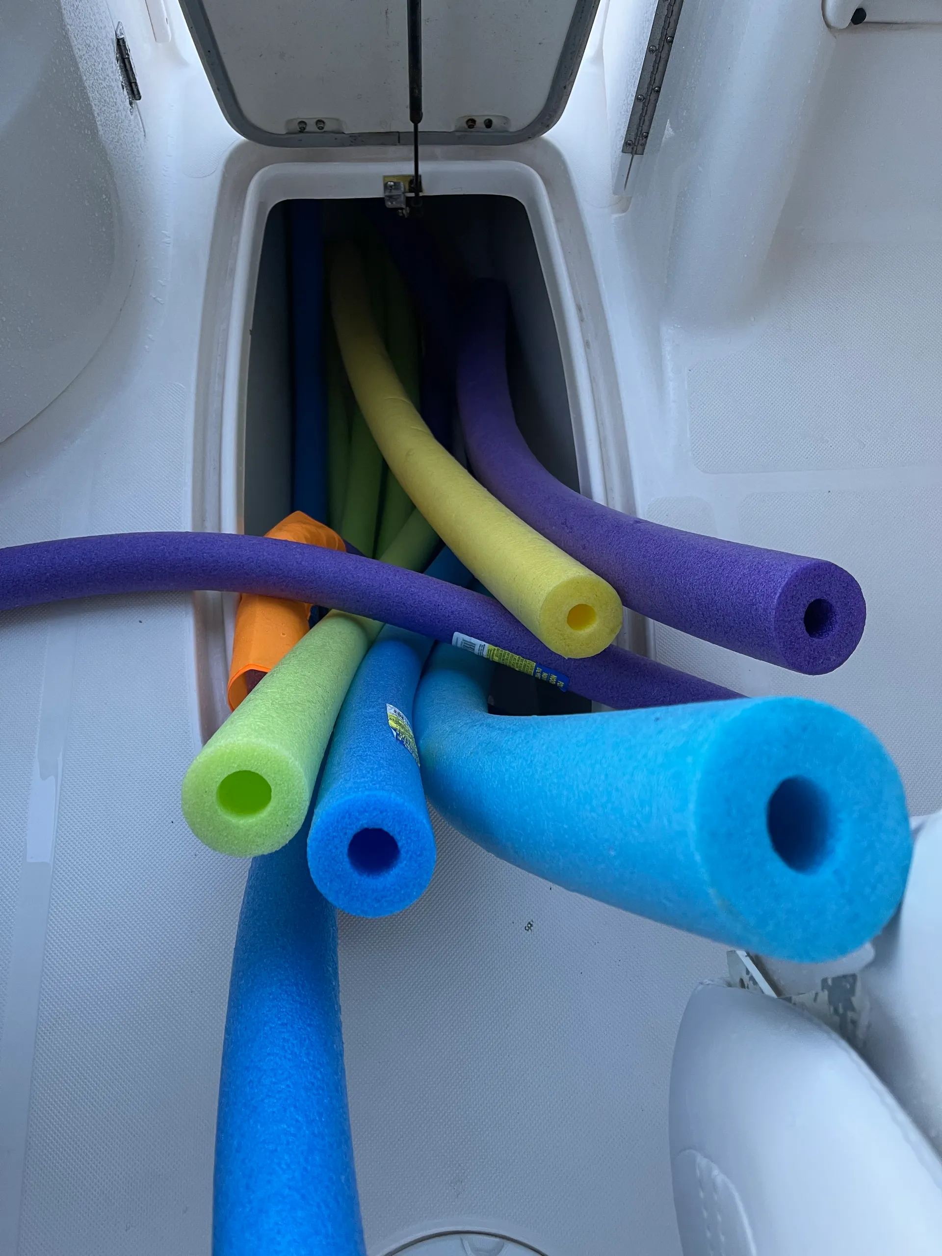 SURREEL LIFE “living the dream” 