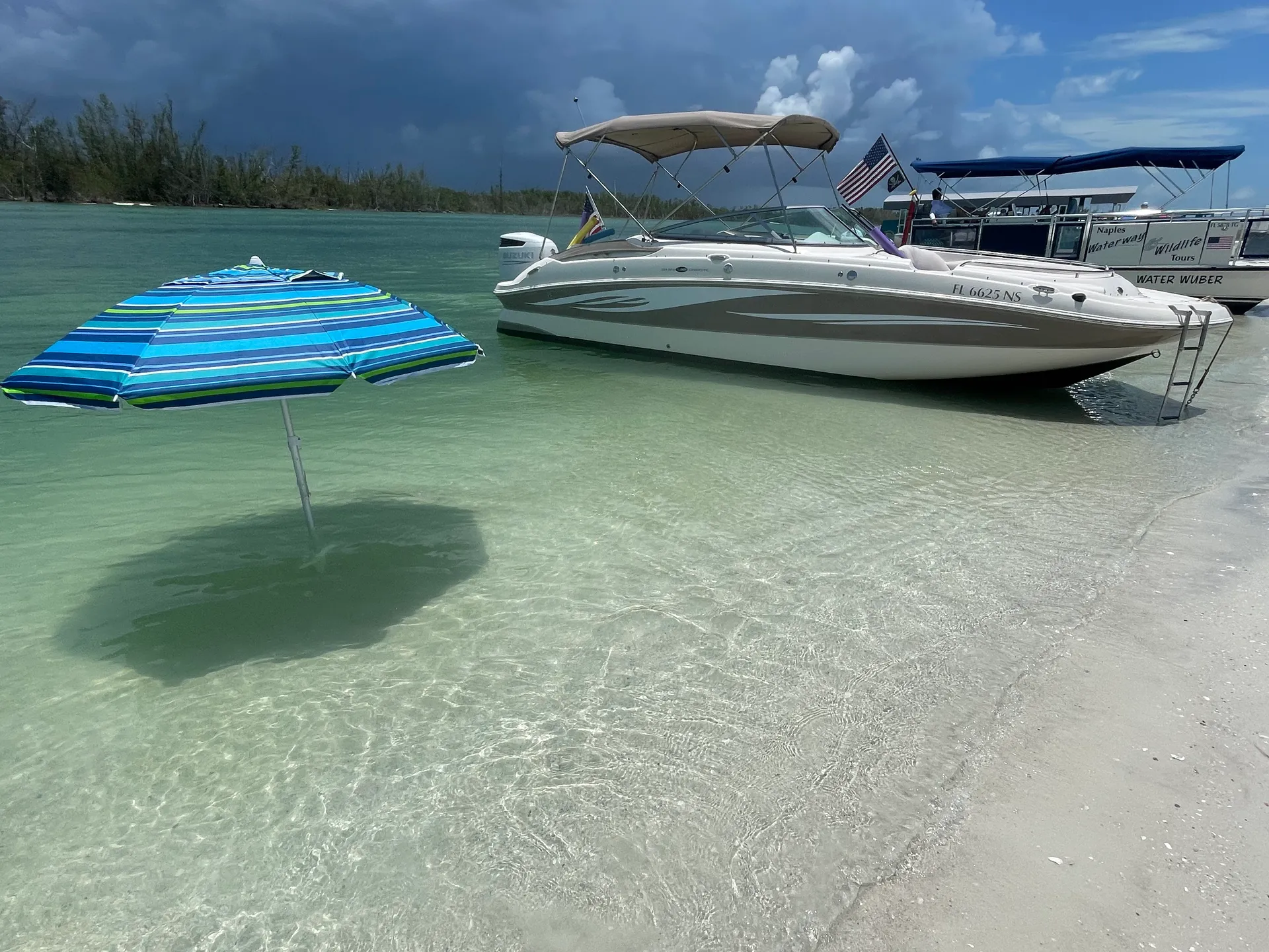 SURREEL LIFE “living the dream” 