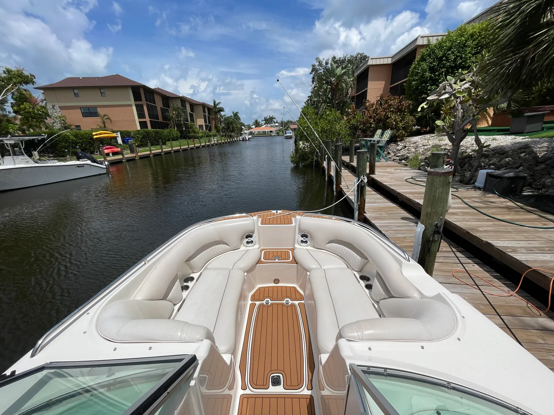 SURREEL LIFE “living the dream” 