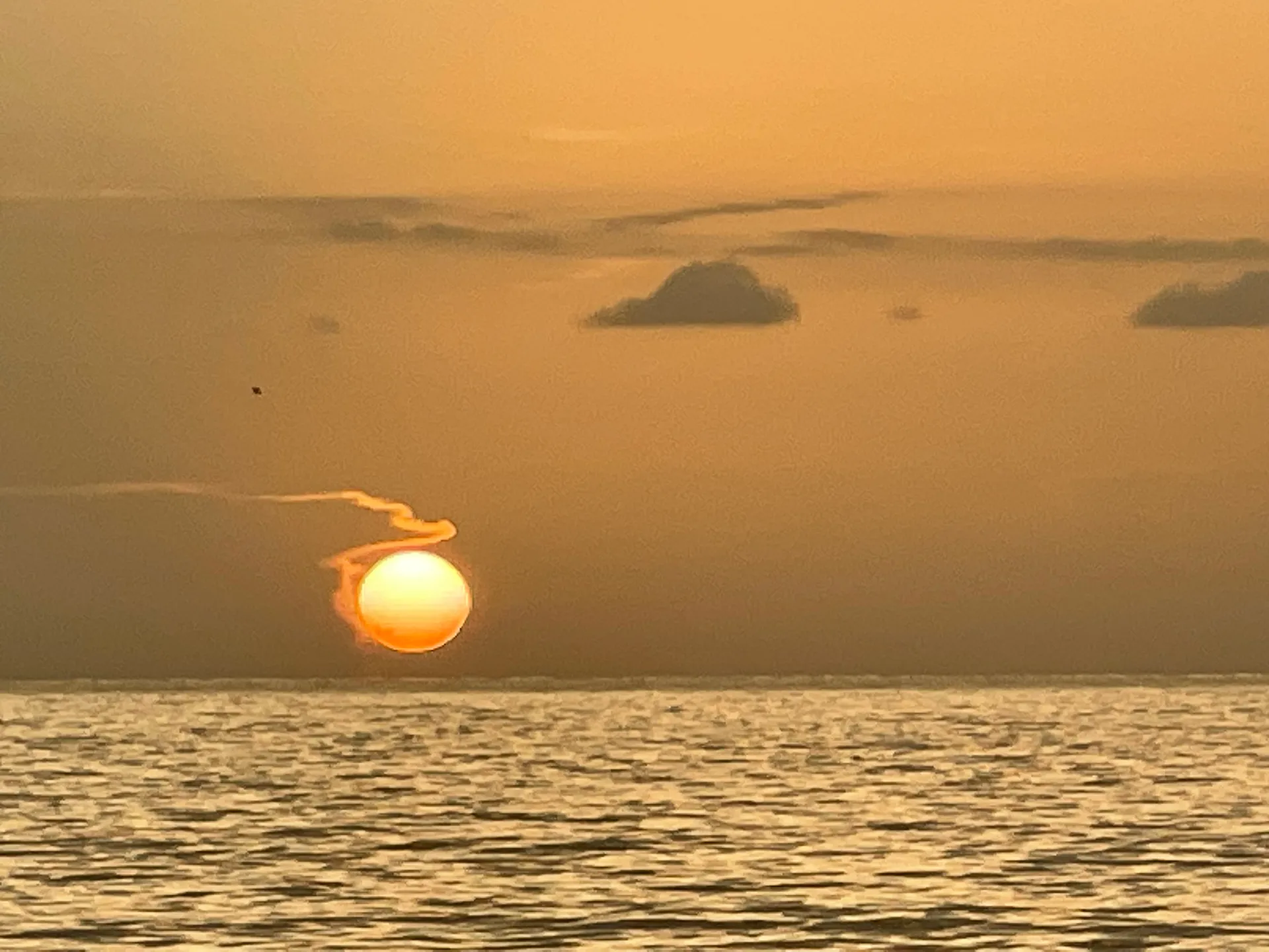 SURREEL LIFE “living the dream” 