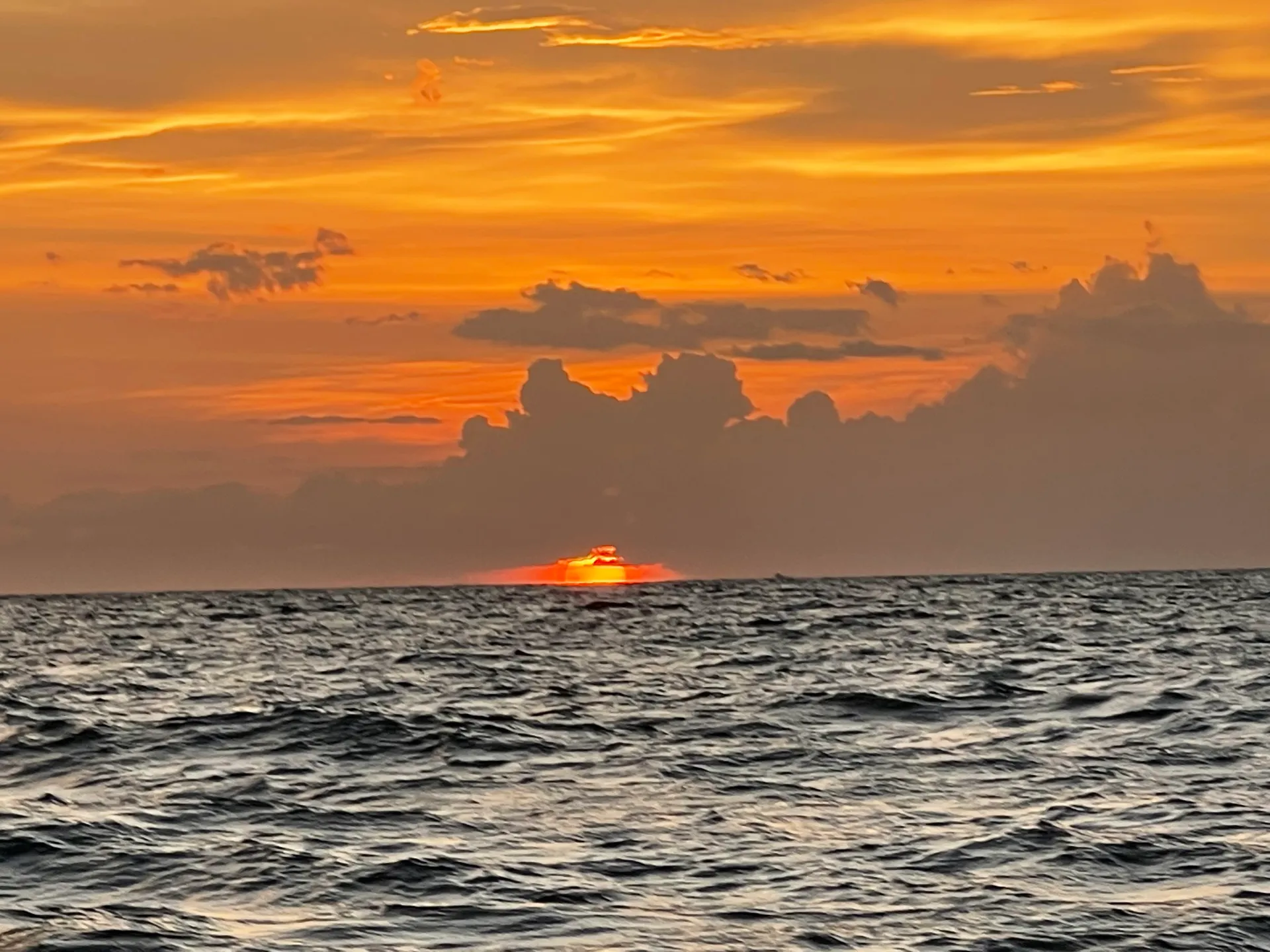 SURREEL LIFE “living the dream” 