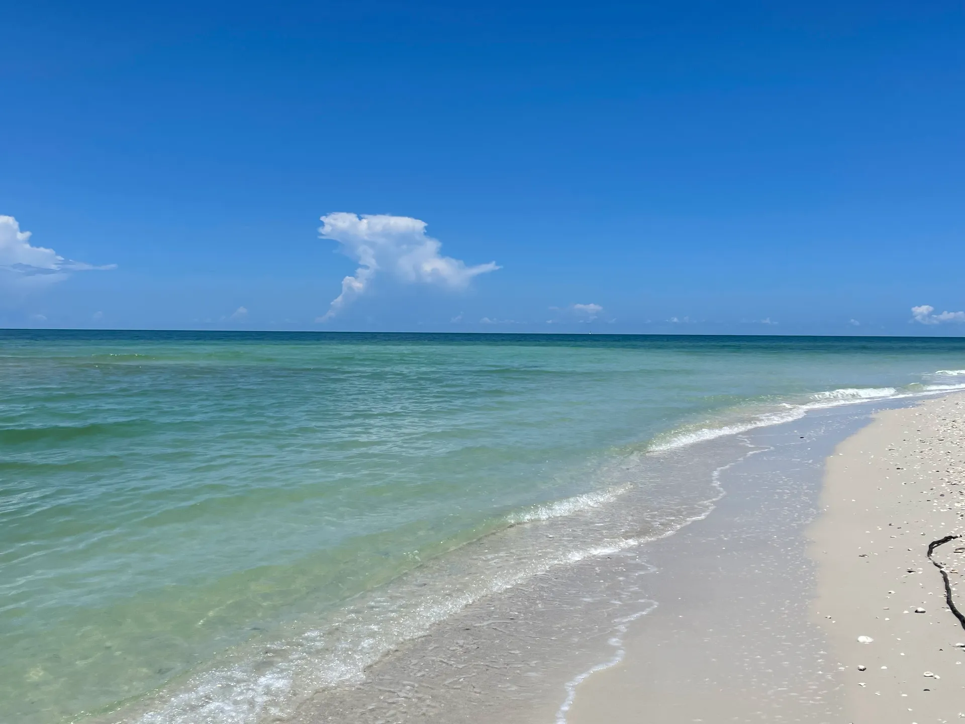 SURREEL LIFE “living the dream” 