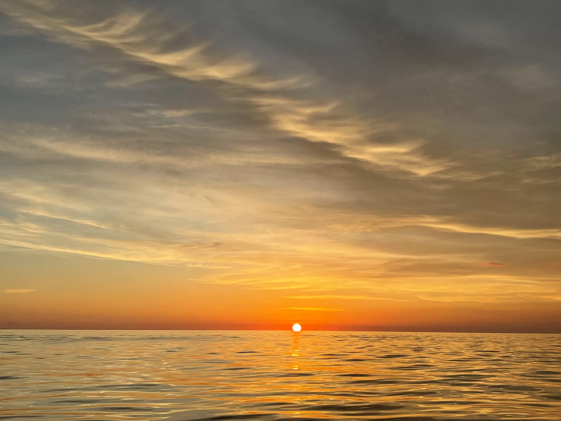 SURREEL LIFE “living the dream” 