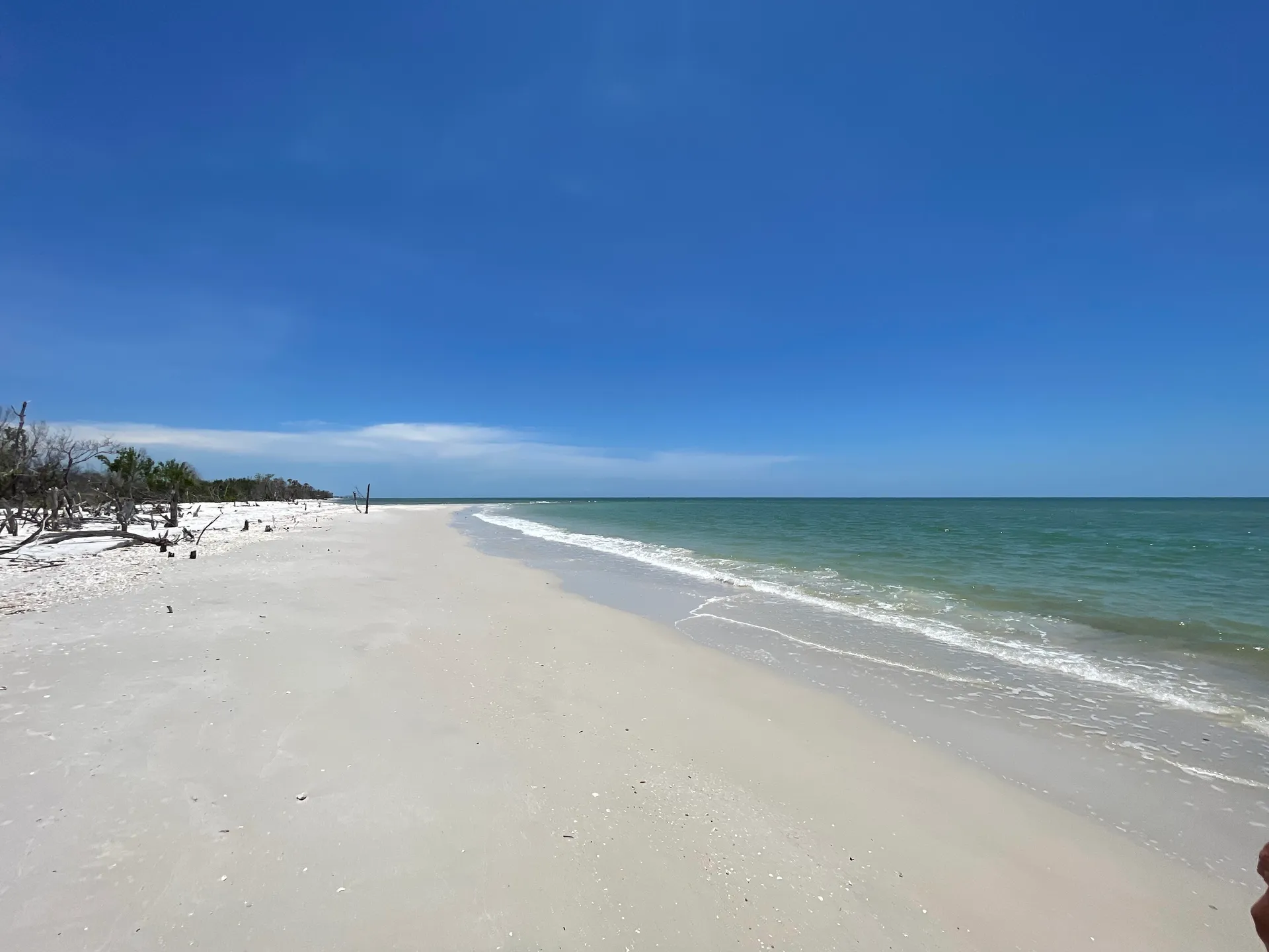 SURREEL LIFE “living the dream” 