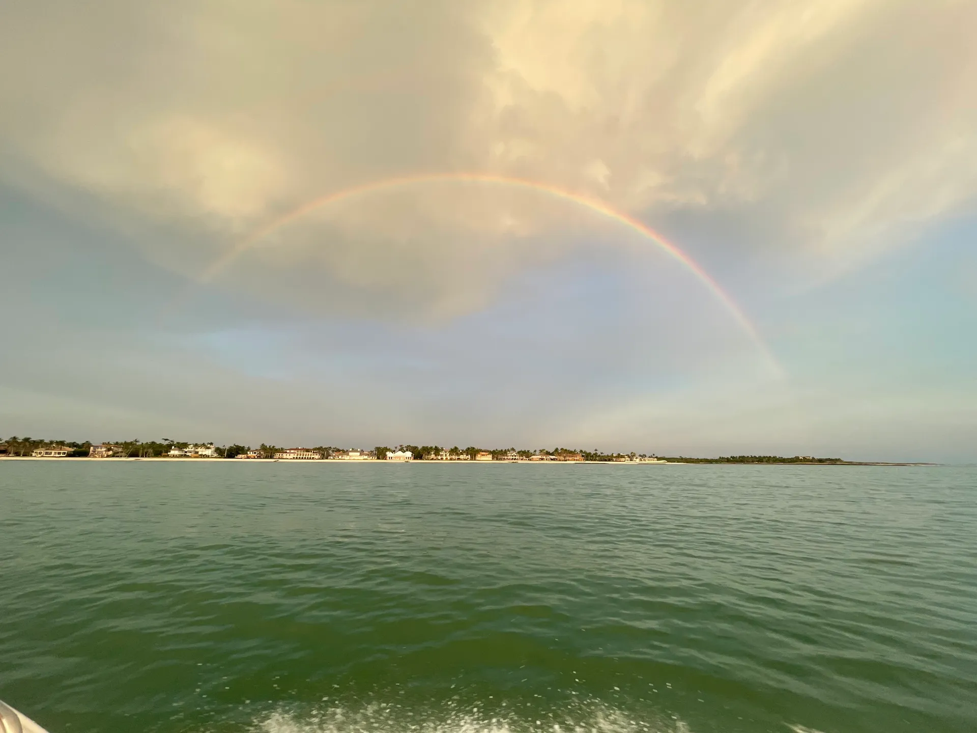 SURREEL LIFE “living the dream” 