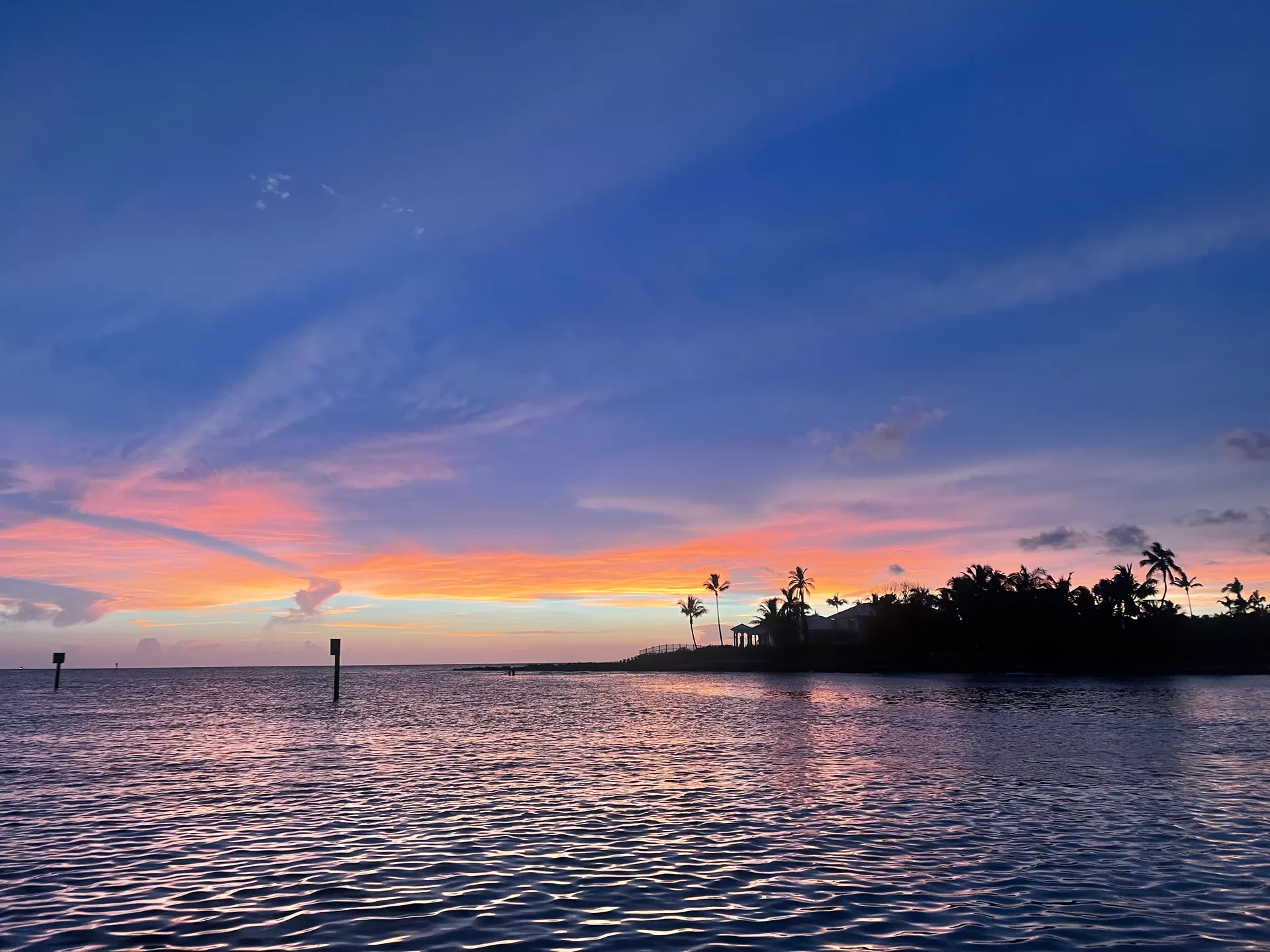 SURREEL LIFE “living the dream” 