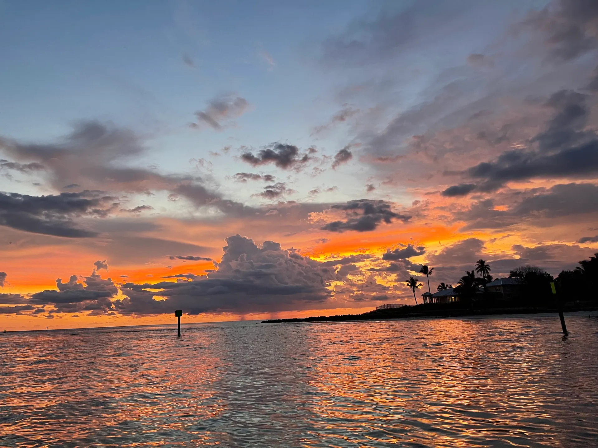 SURREEL LIFE “living the dream” 