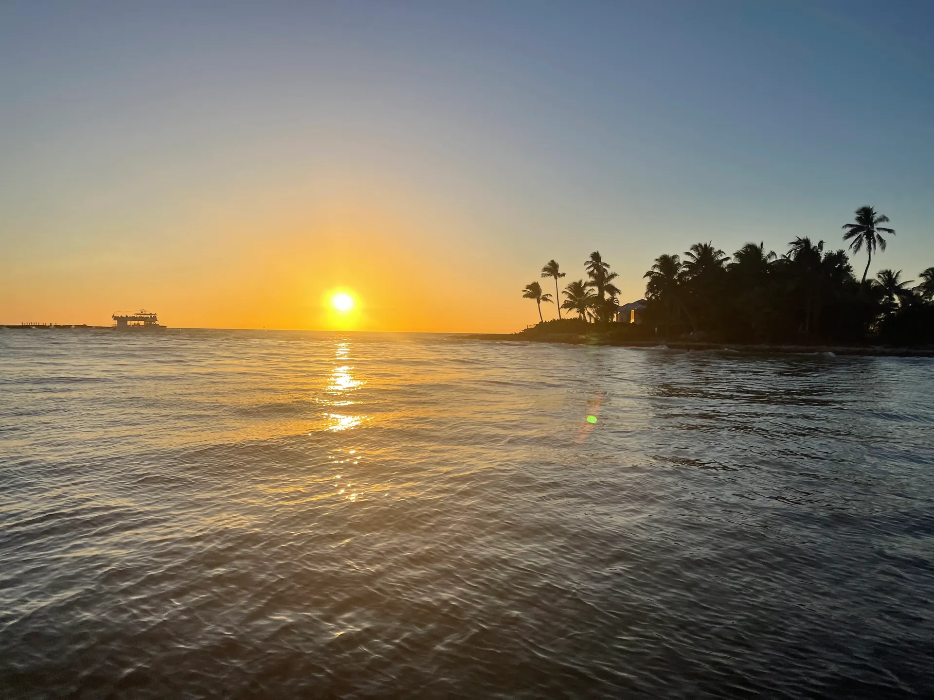 SURREEL LIFE “living the dream” 