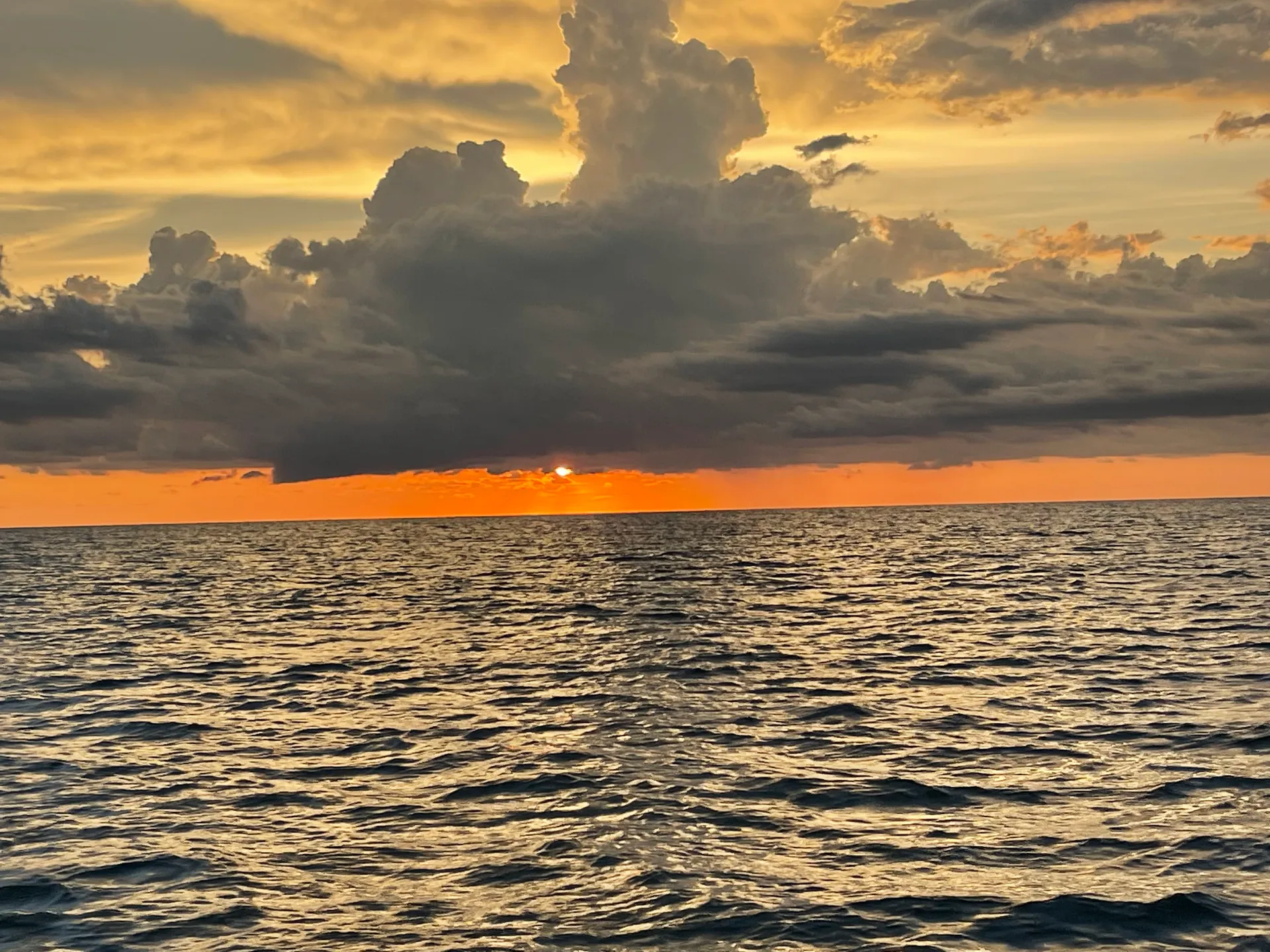 SURREEL LIFE “living the dream” 