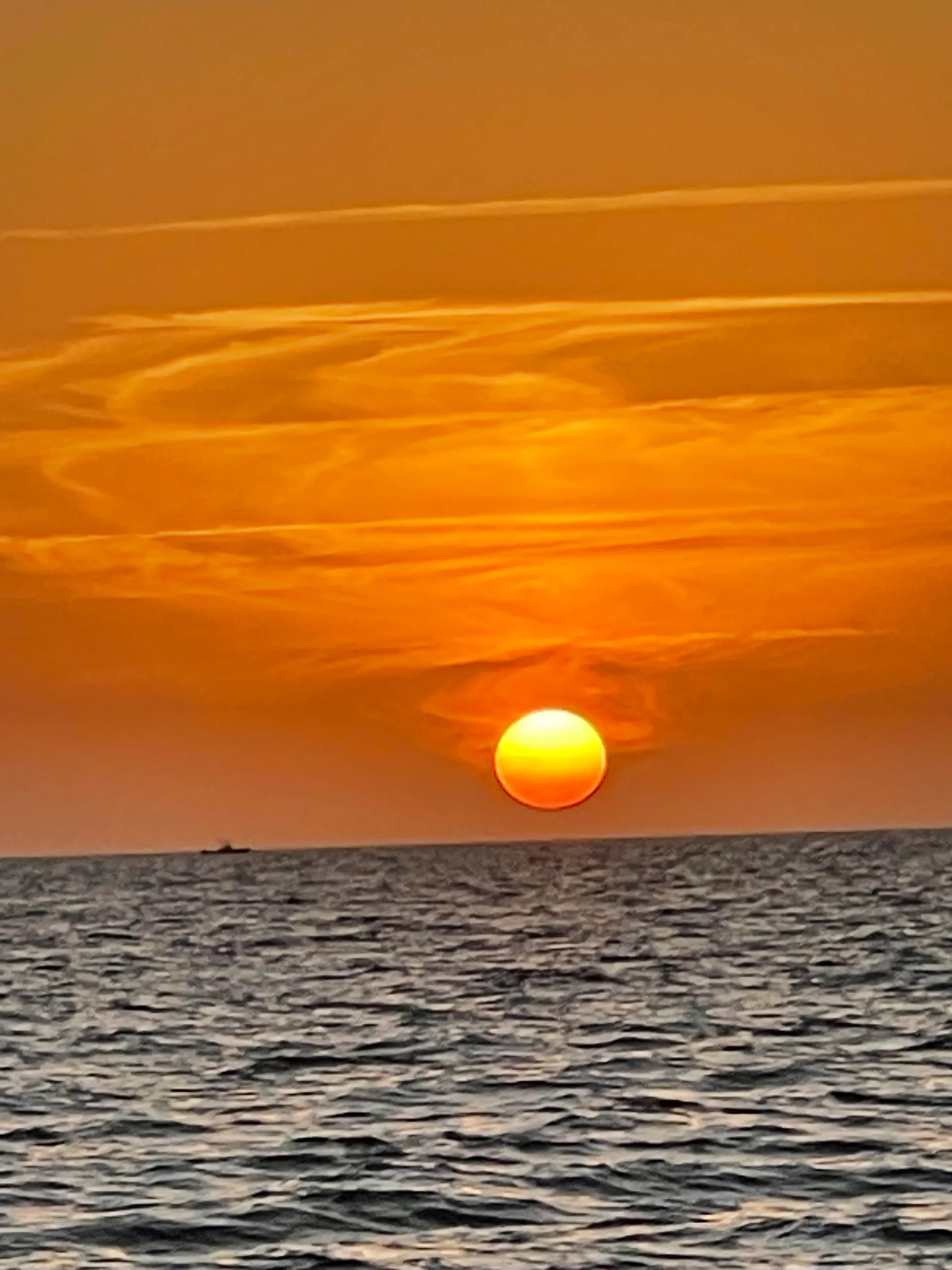 SURREEL LIFE “living the dream” 