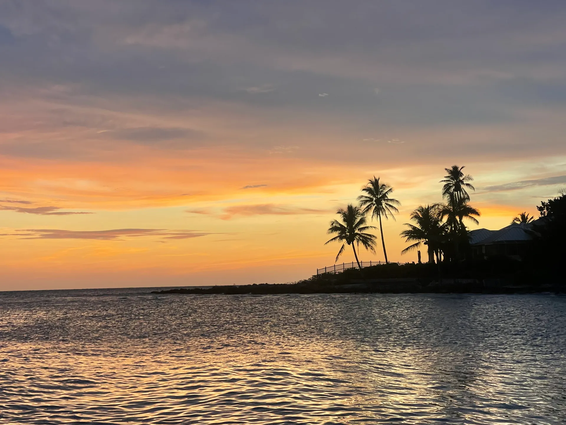 SURREEL LIFE “living the dream” 