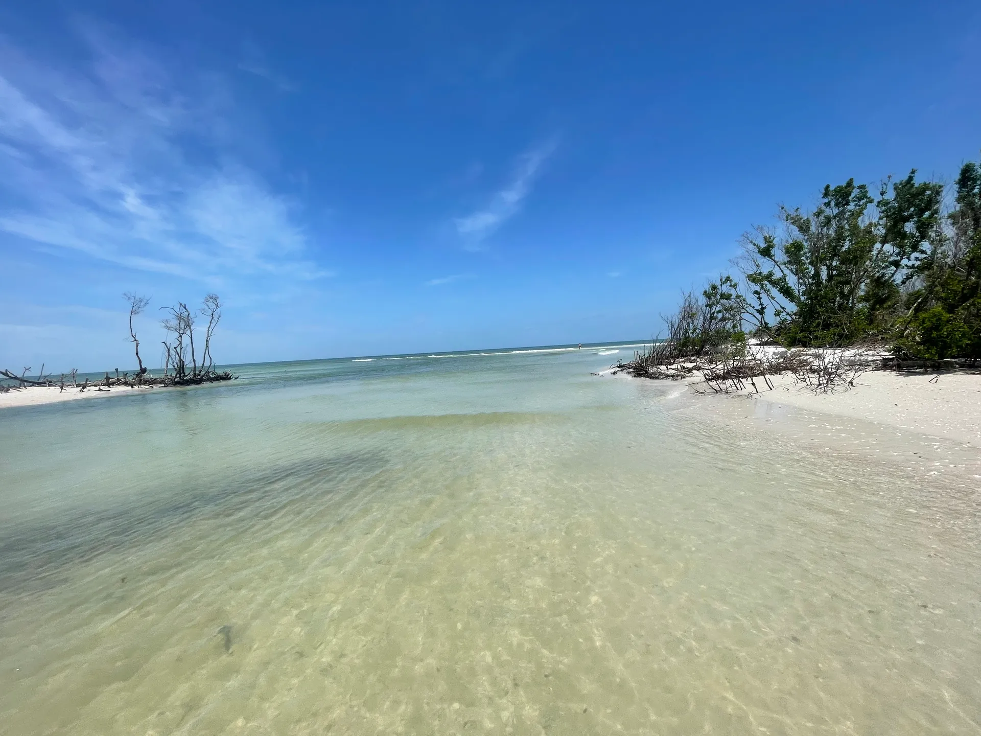 SURREEL LIFE “living the dream” 