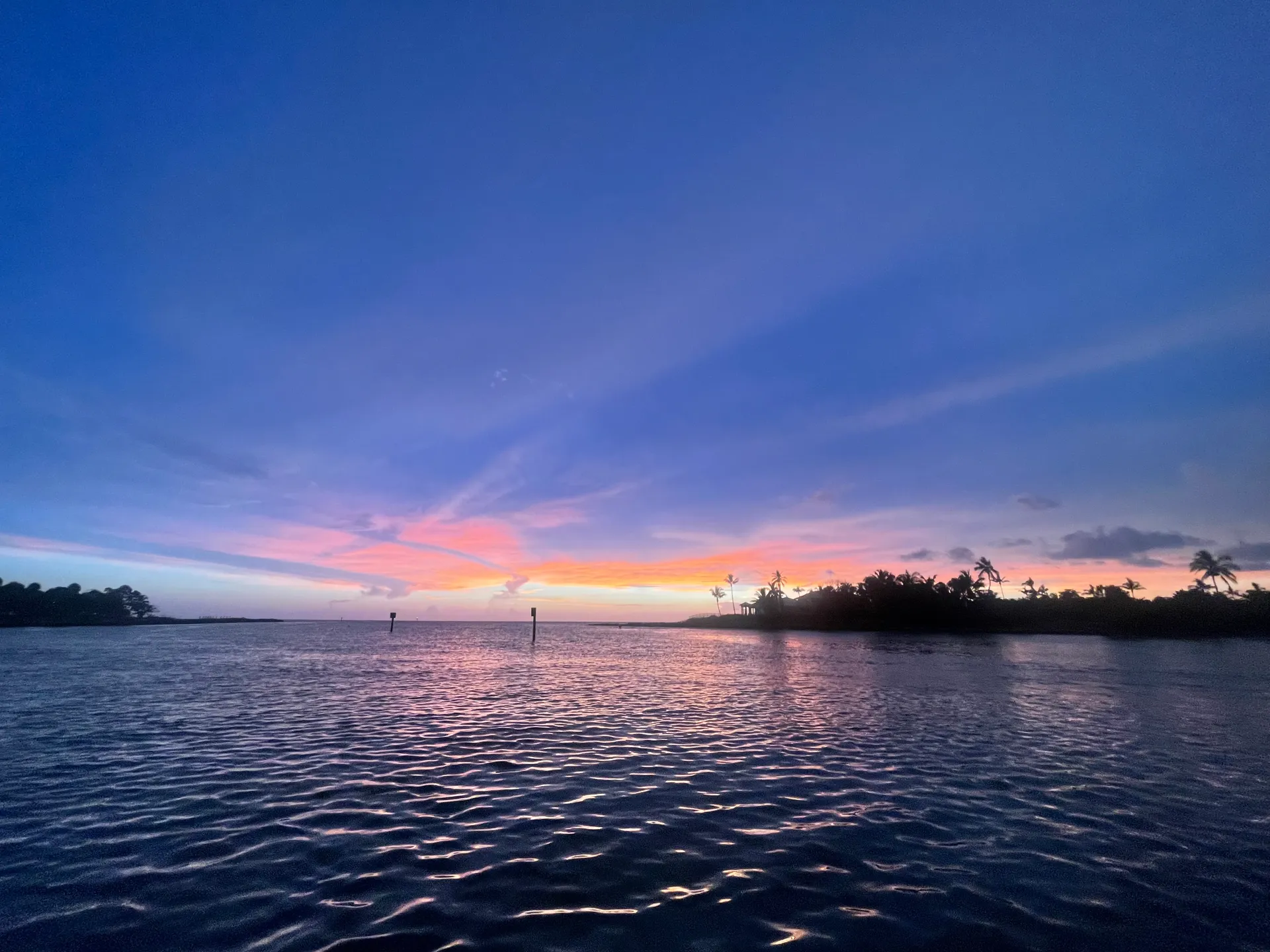 SURREEL LIFE “living the dream” 