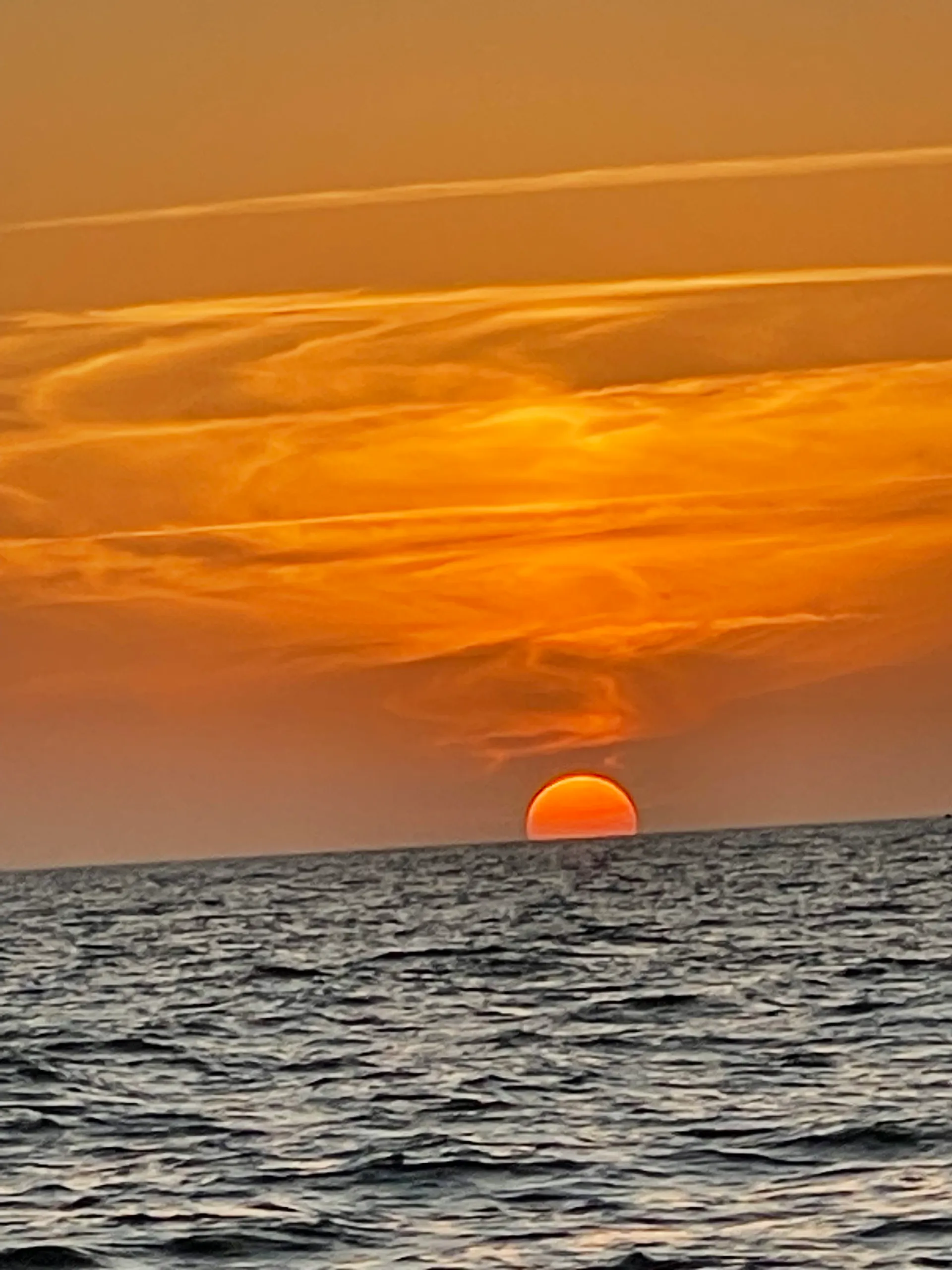 SURREEL LIFE “living the dream” 