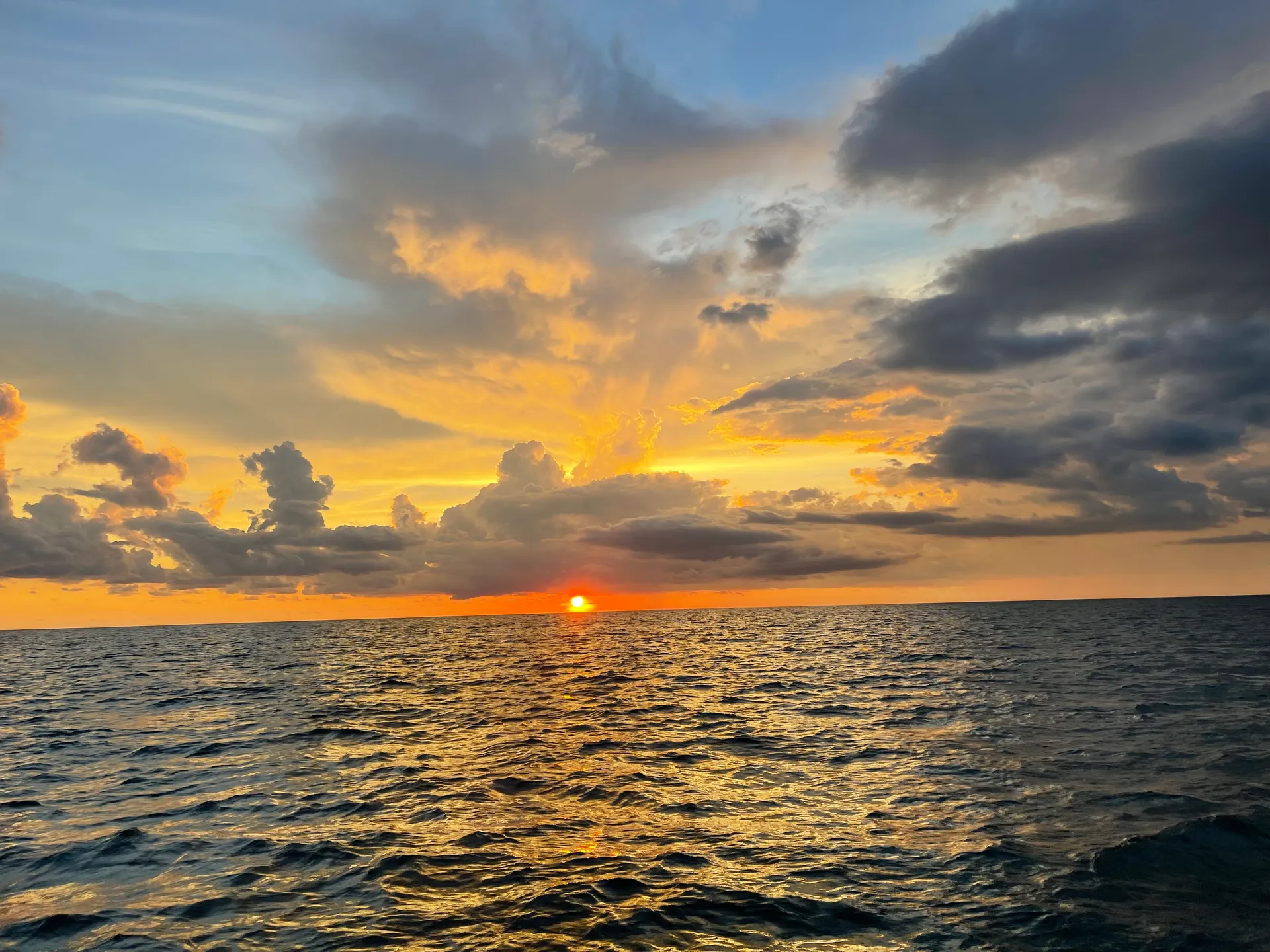 SURREEL LIFE “living the dream” 