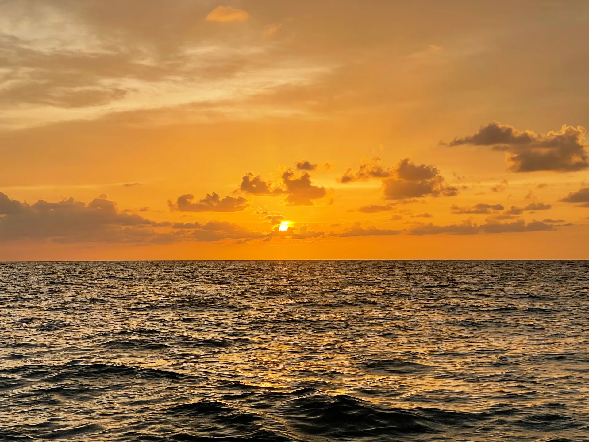 SURREEL LIFE “living the dream” 