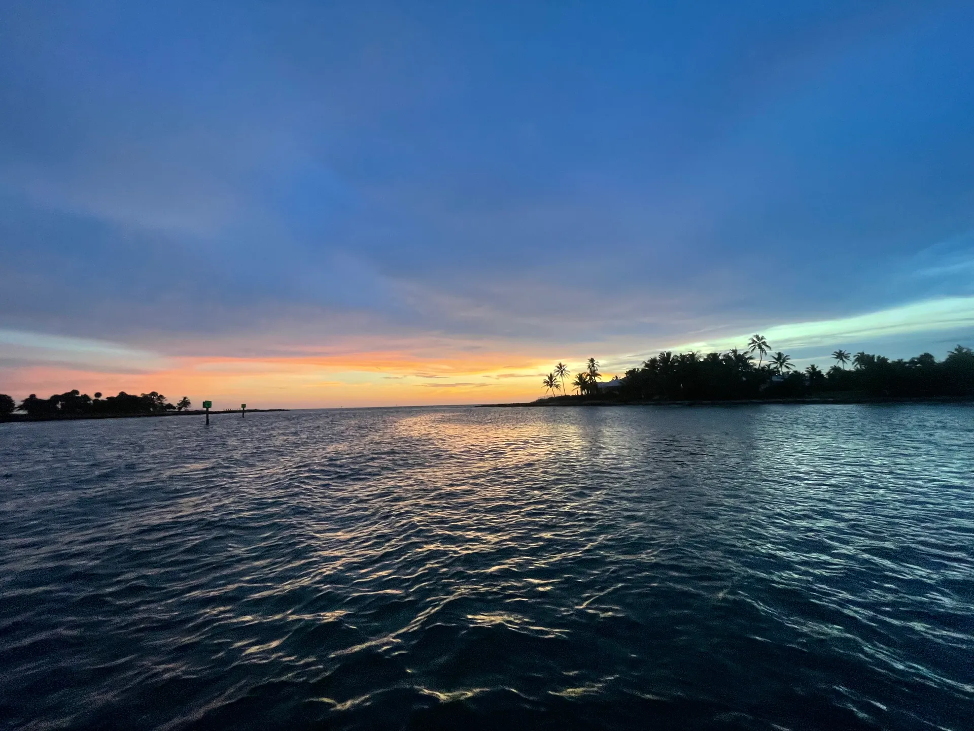 SURREEL LIFE “living the dream” 