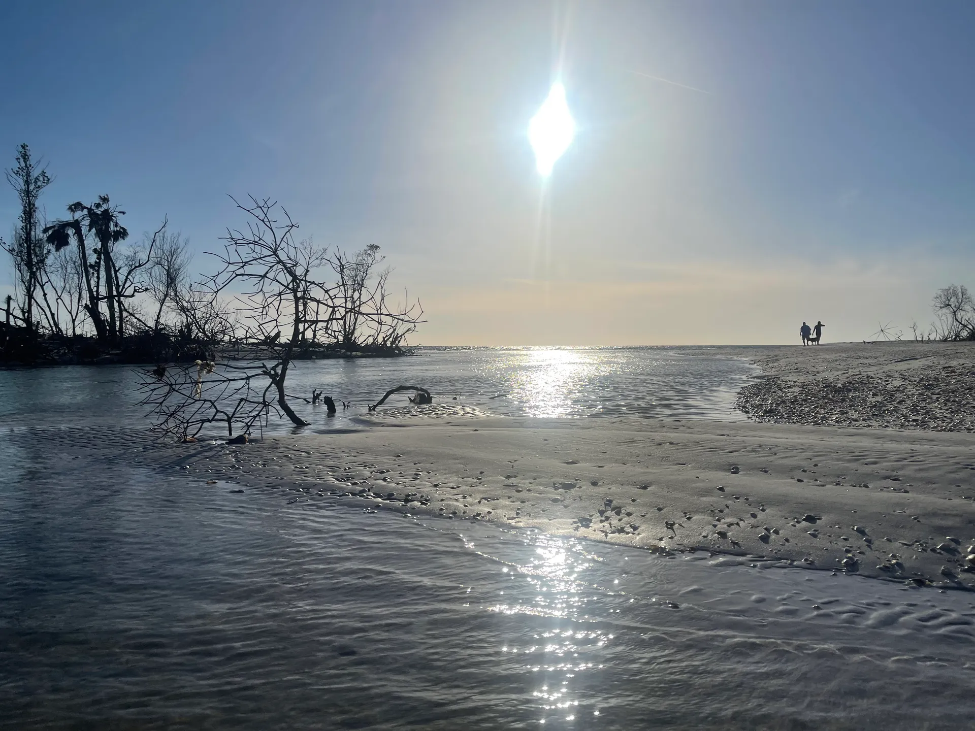 SURREEL LIFE “living the dream” 