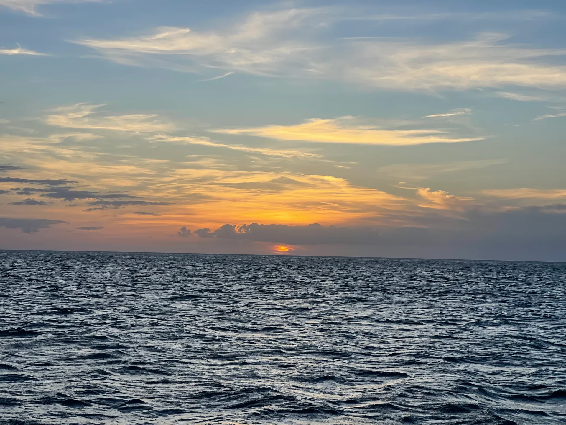 SURREEL LIFE “living the dream” 