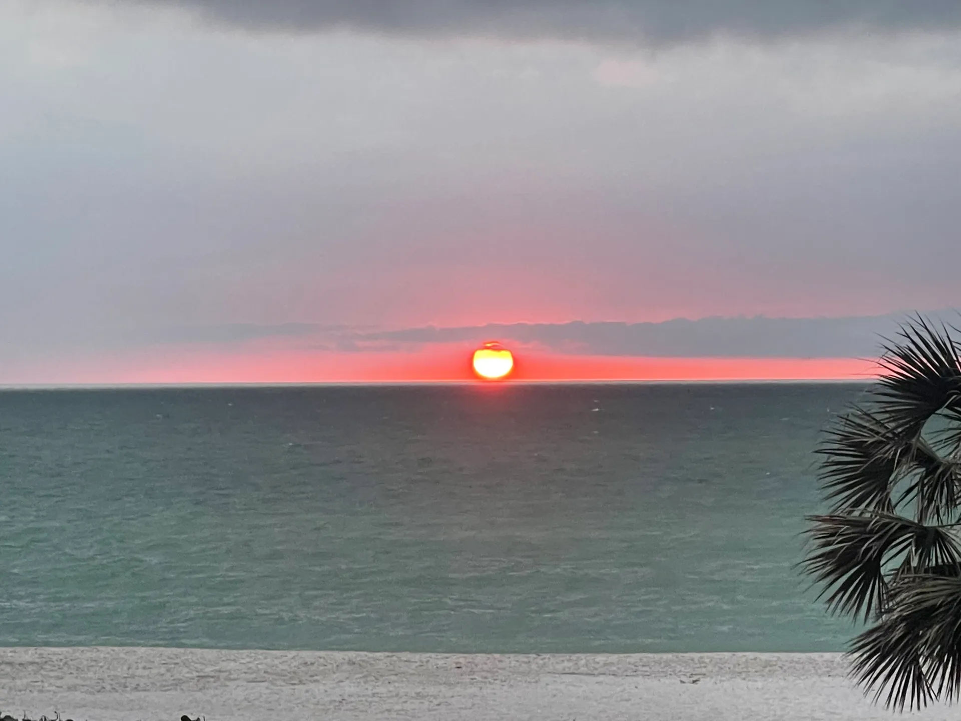 SURREEL LIFE “living the dream” 