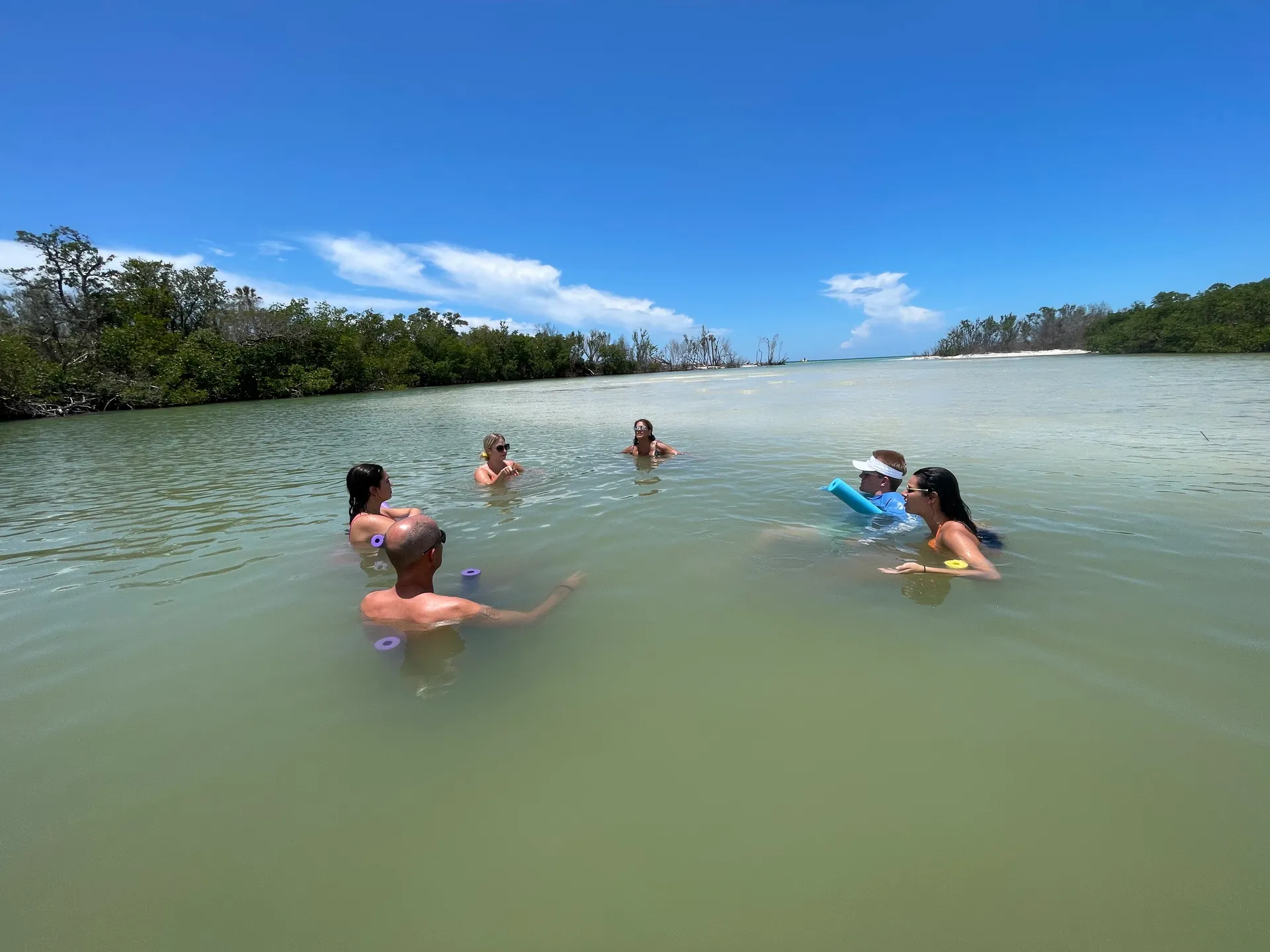 SURREEL LIFE “living the dream” 