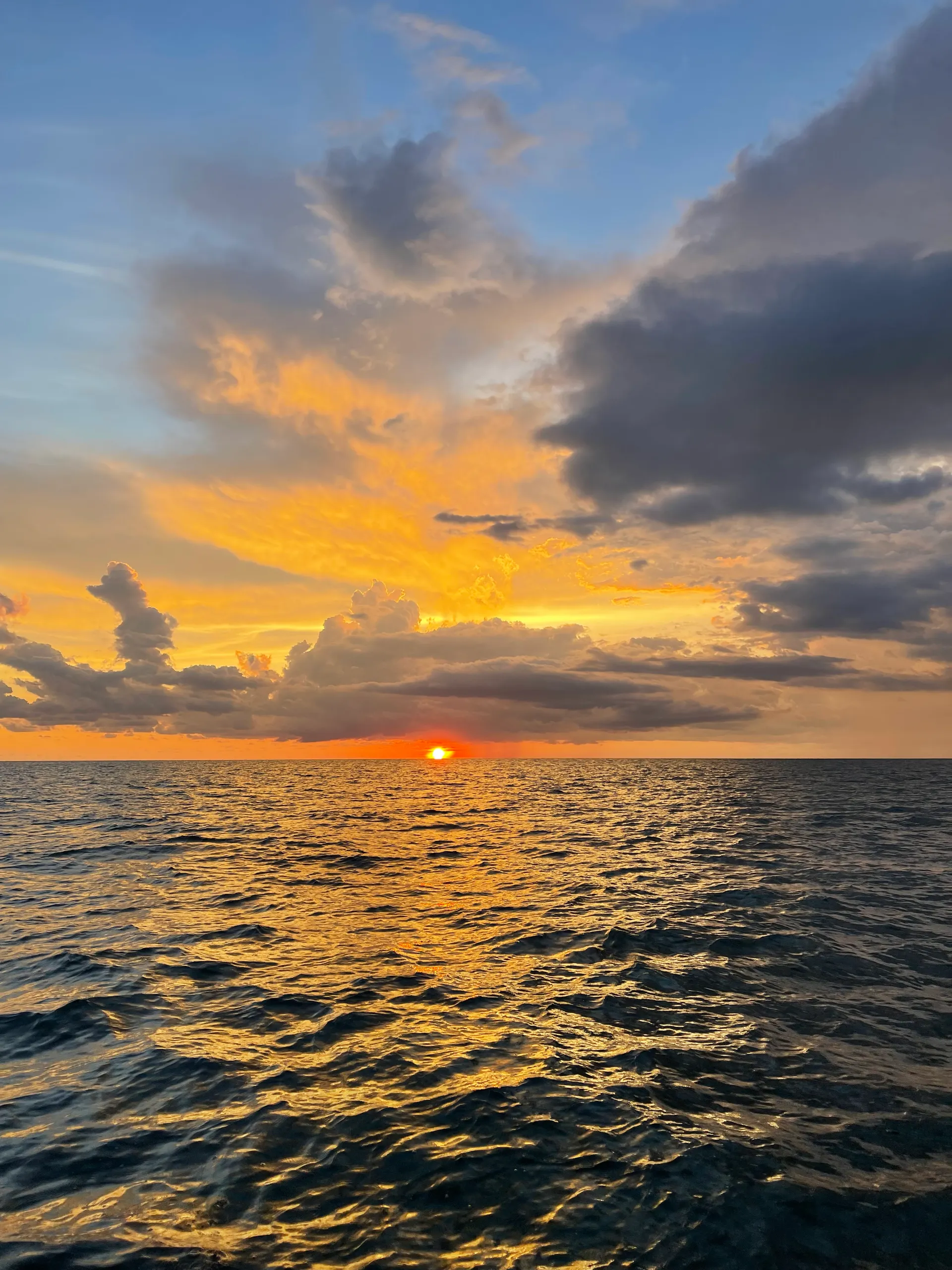 SURREEL LIFE “living the dream” 