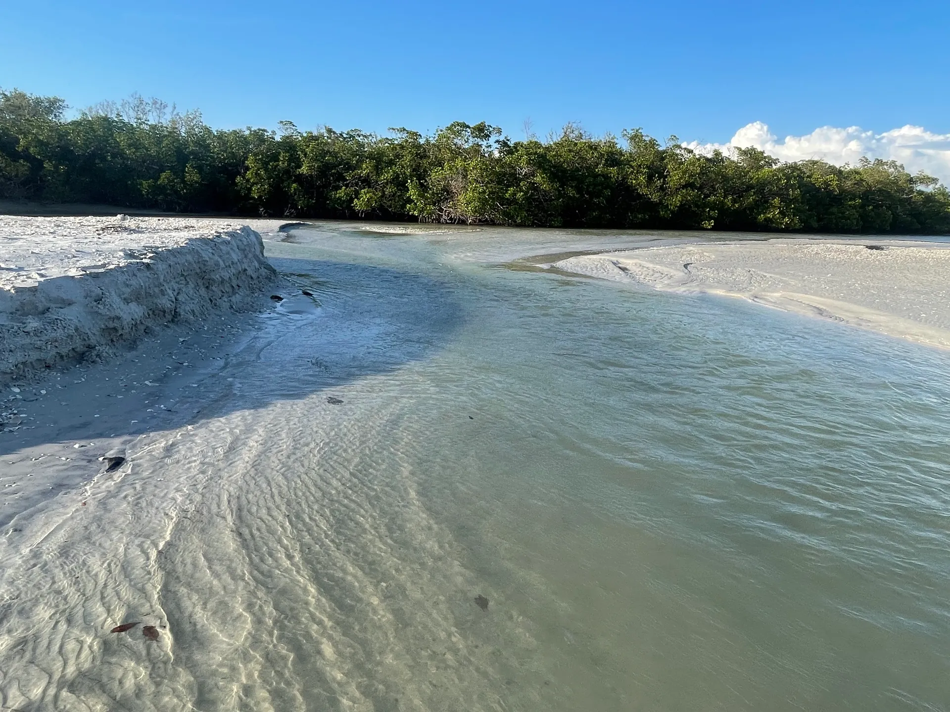 SURREEL LIFE “living the dream” 