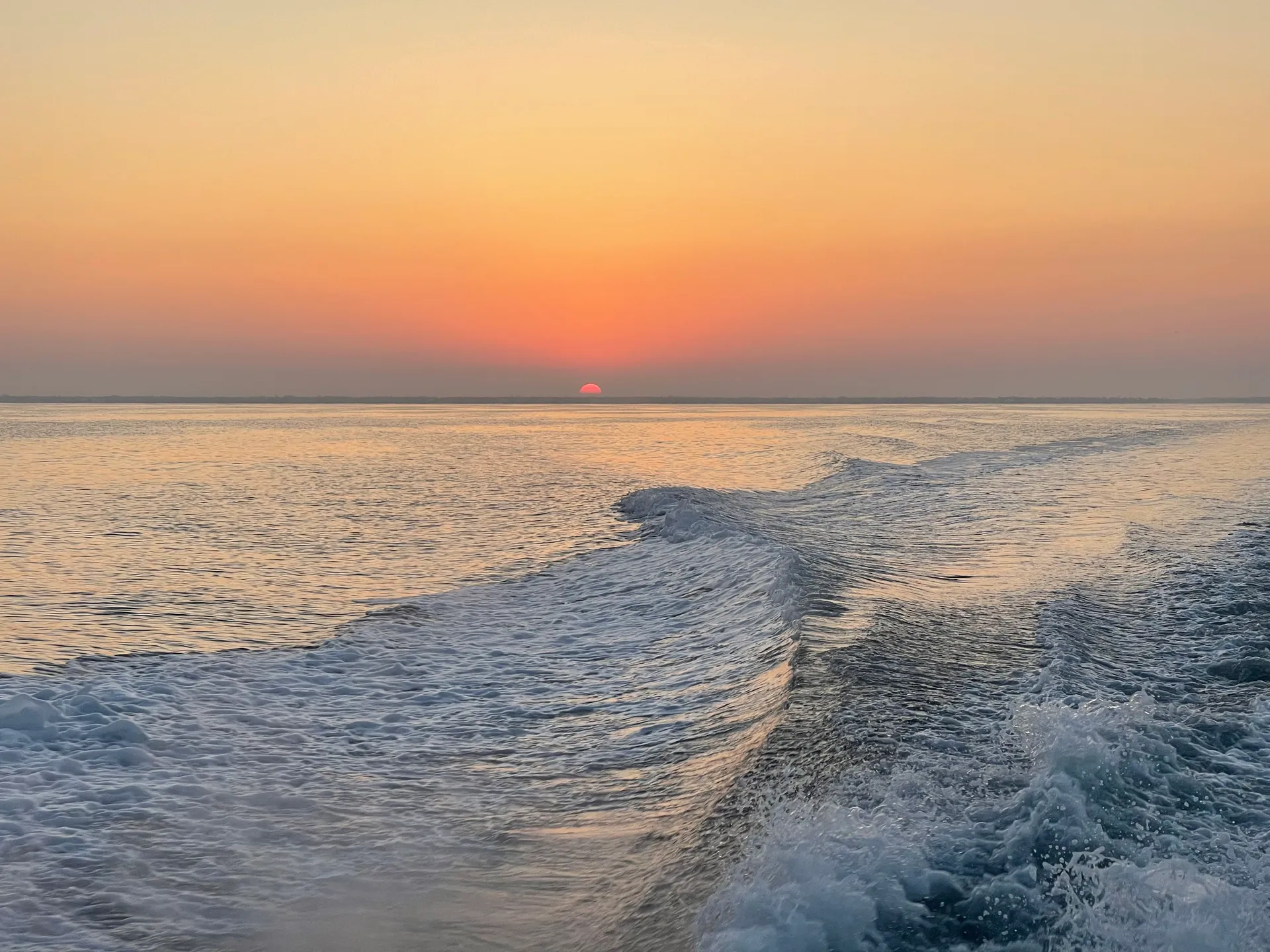 SURREEL LIFE “living the dream” 