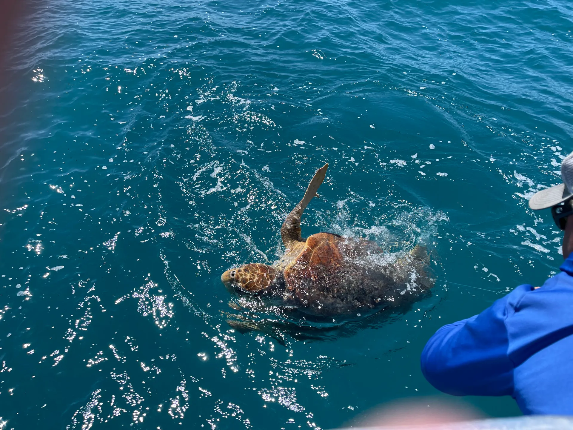 SURREEL LIFE “living the dream” 