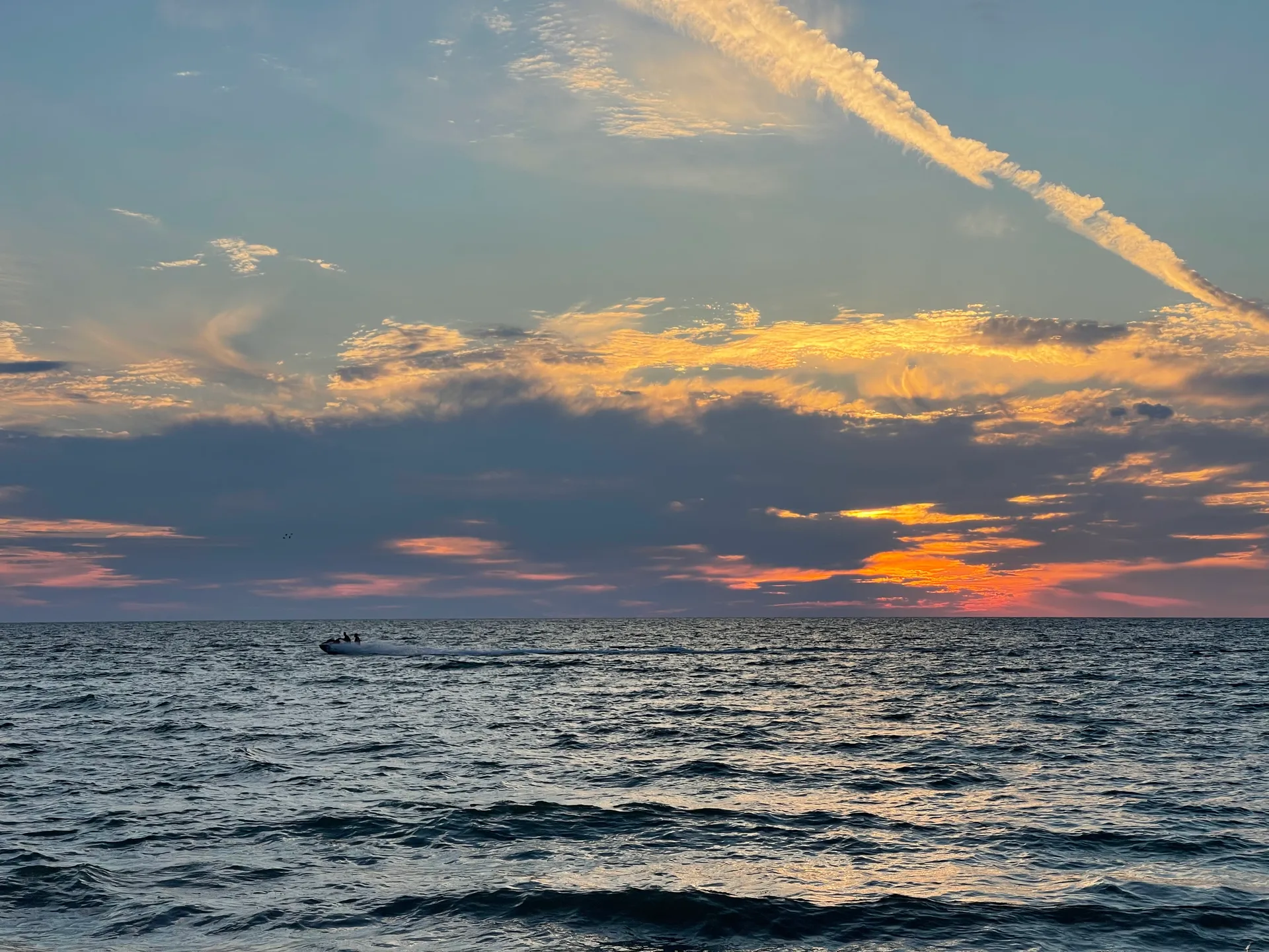 SURREEL LIFE “living the dream” 